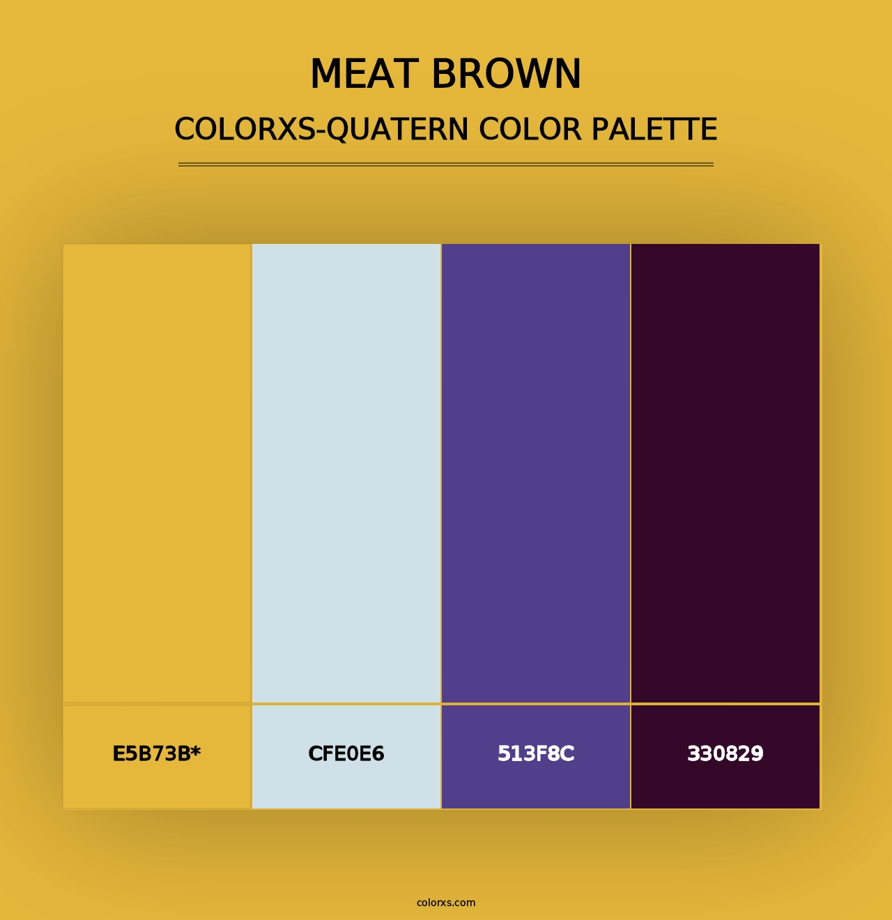 Meat brown - Colorxs Quad Palette