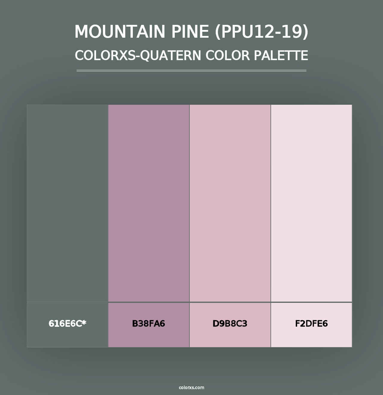 Mountain Pine (PPU12-19) - Colorxs Quad Palette