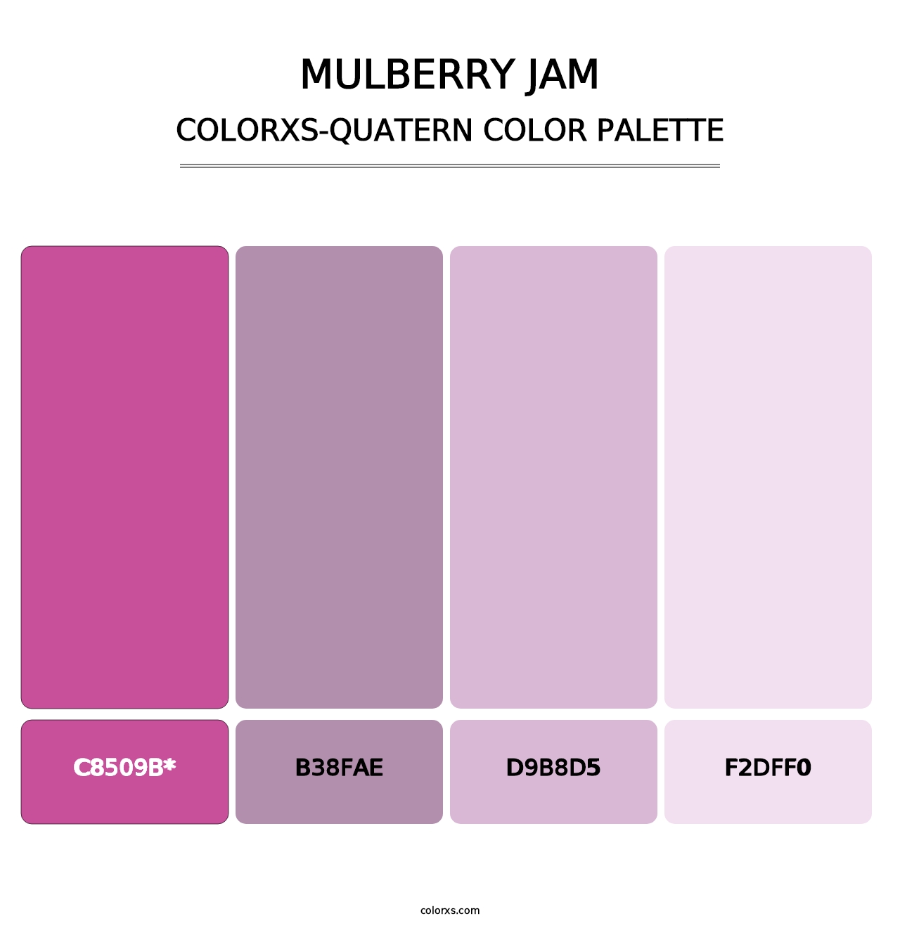 Mulberry Jam - Colorxs Quad Palette