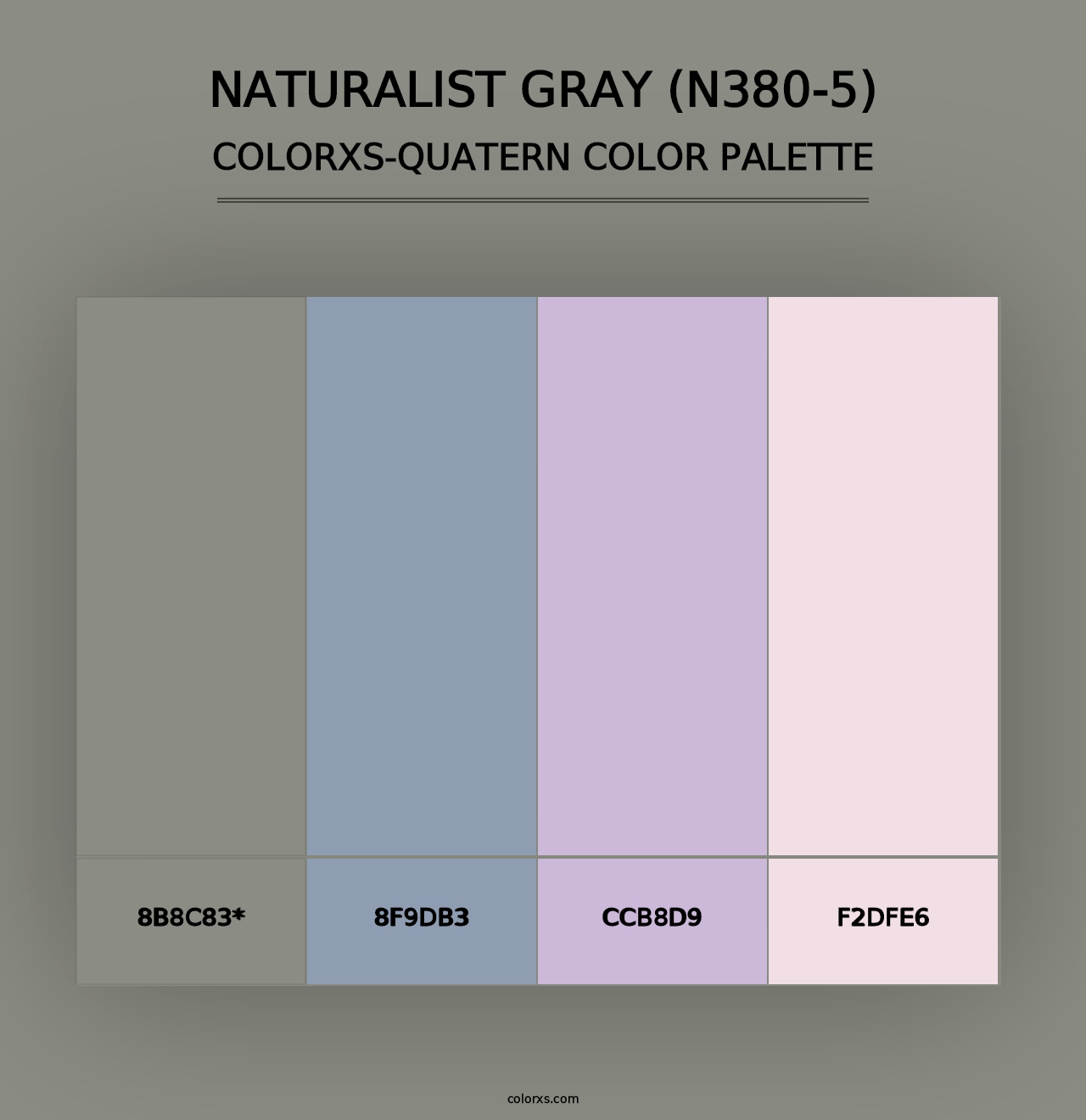 Naturalist Gray (N380-5) - Colorxs Quad Palette