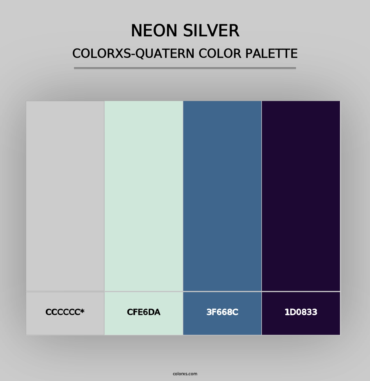 Neon Silver - Colorxs Quad Palette