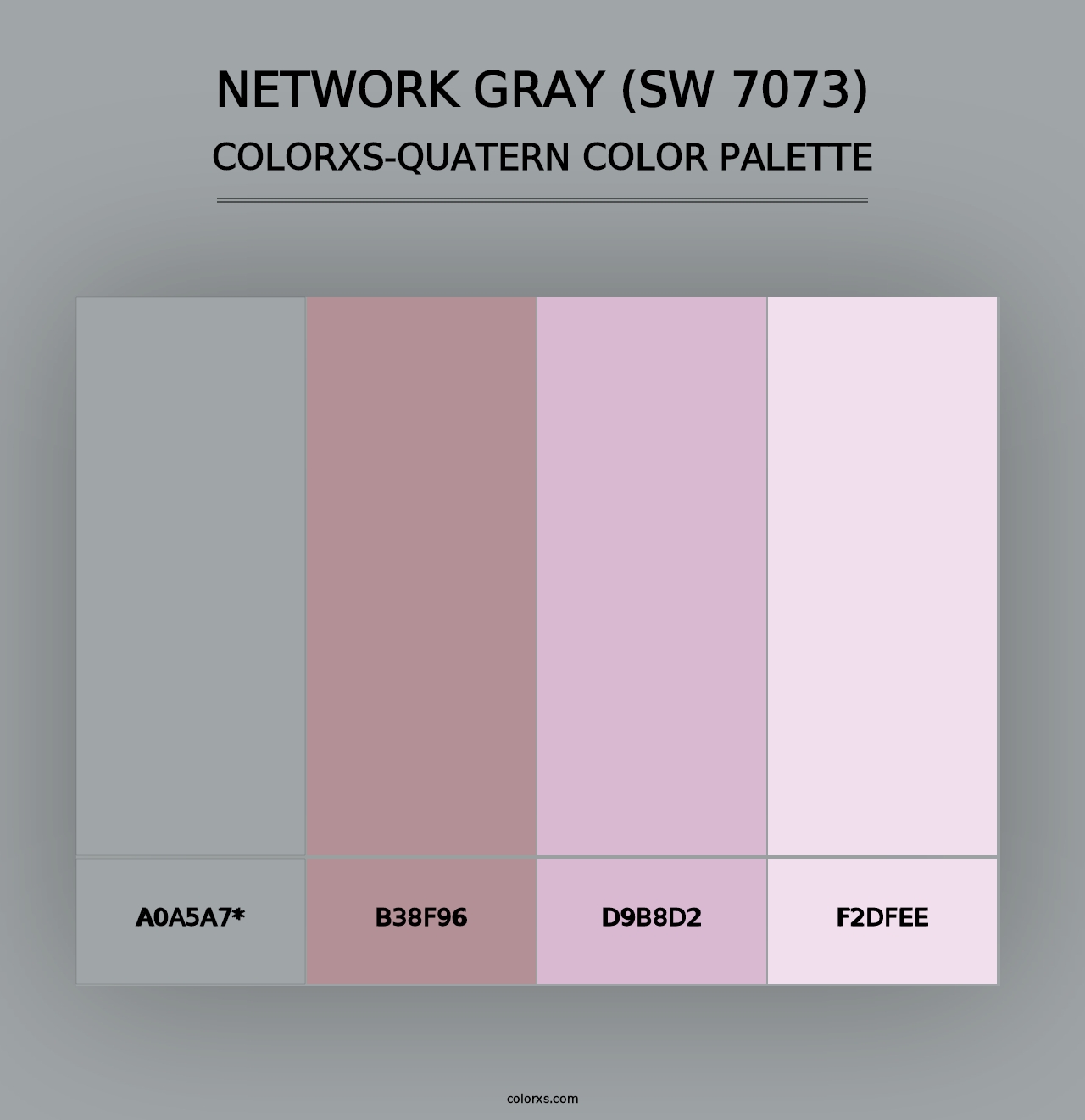 Network Gray (SW 7073) - Colorxs Quad Palette