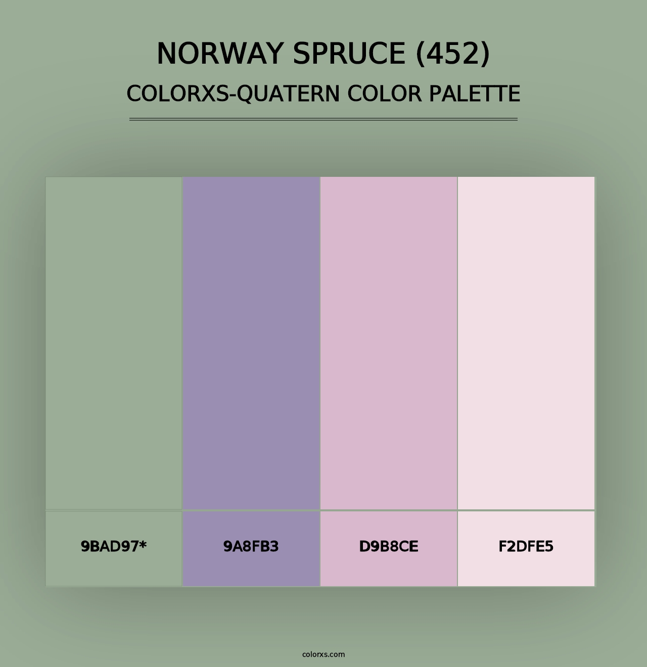 Norway Spruce (452) - Colorxs Quad Palette