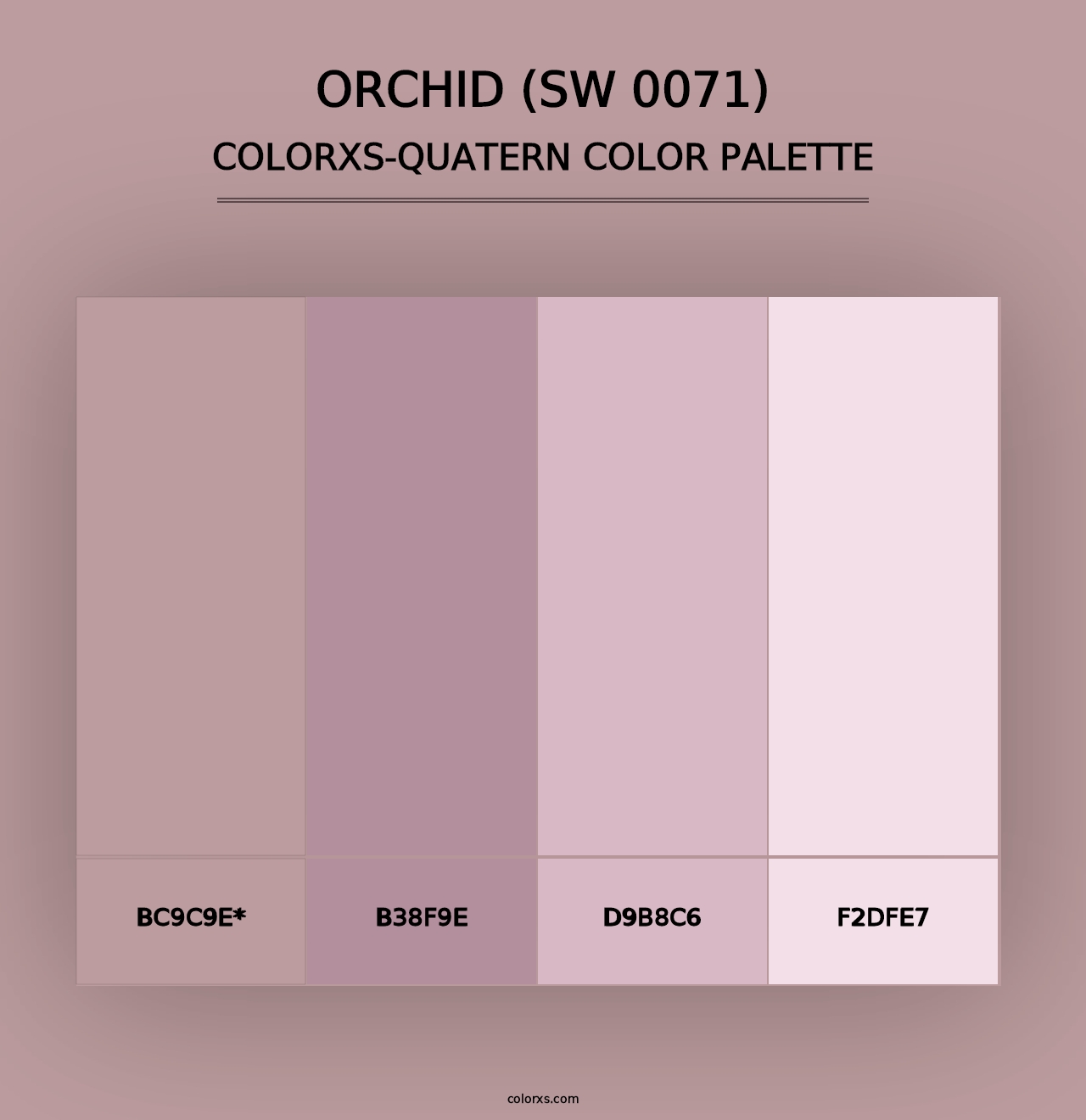 Orchid (SW 0071) - Colorxs Quad Palette