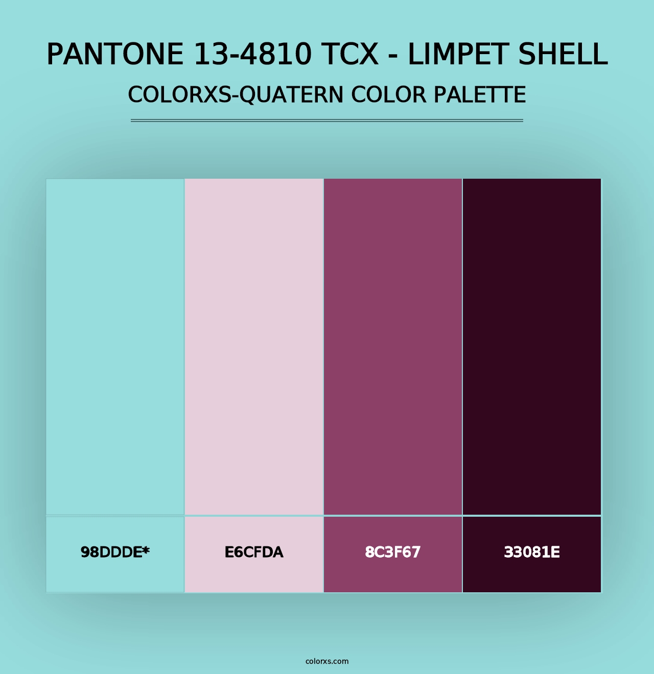 PANTONE 13-4810 TCX - Limpet Shell - Colorxs Quad Palette