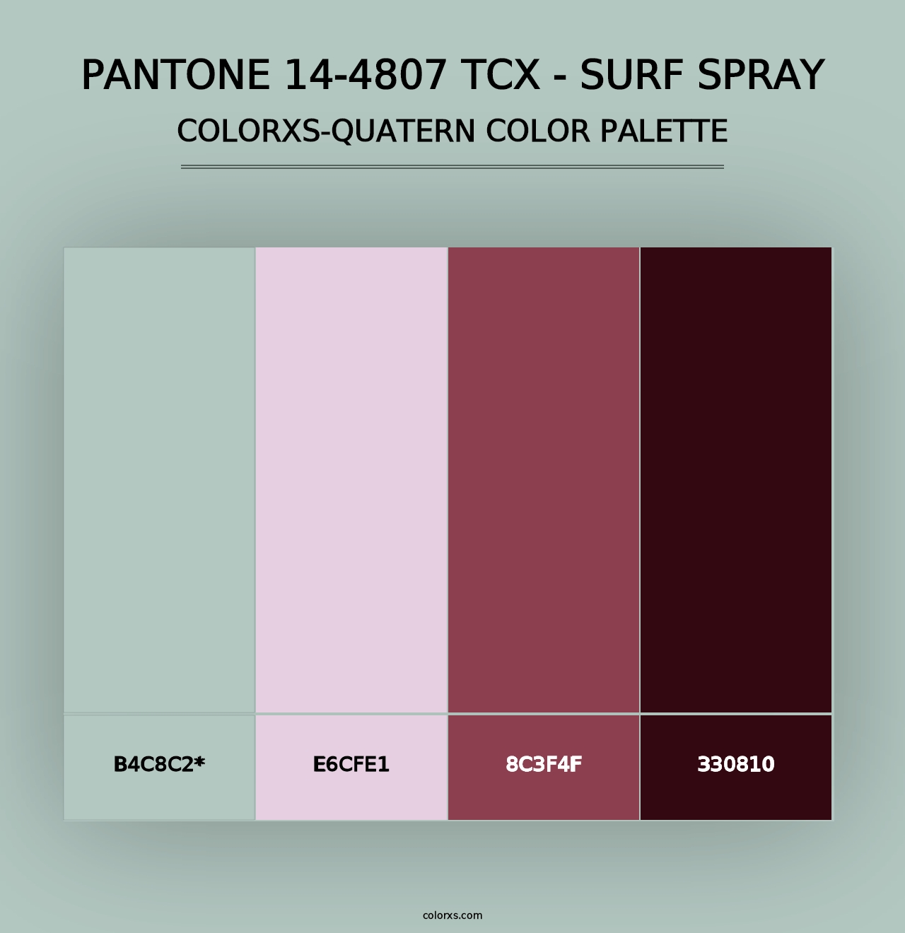 PANTONE 14-4807 TCX - Surf Spray - Colorxs Quad Palette