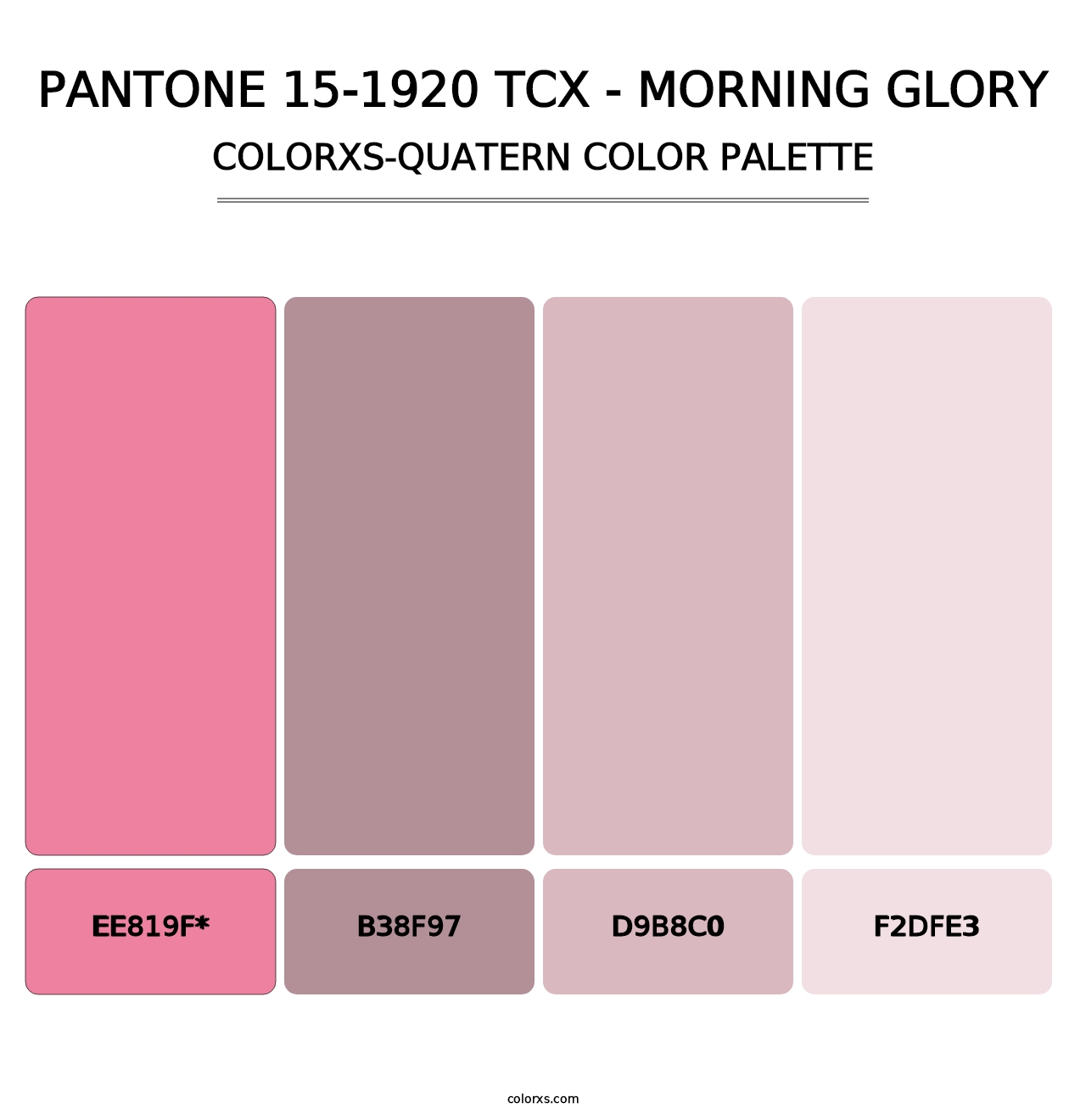 PANTONE 15-1920 TCX - Morning Glory - Colorxs Quad Palette