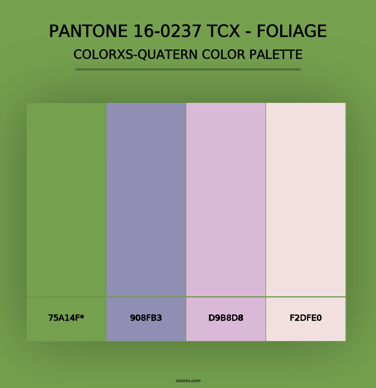 PANTONE 16-0237 TCX - Foliage - Colorxs Quad Palette