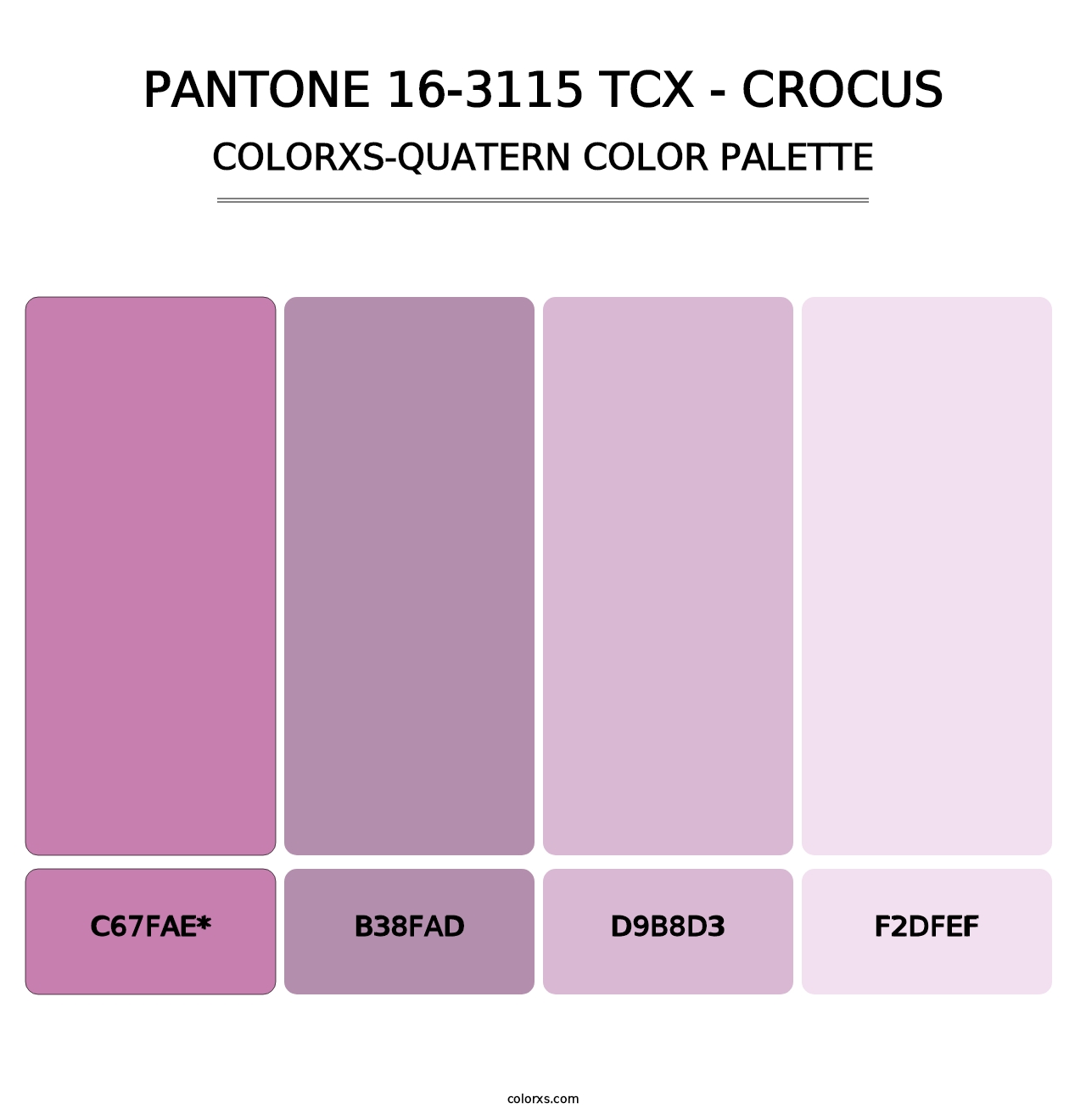 PANTONE 16-3115 TCX - Crocus - Colorxs Quad Palette