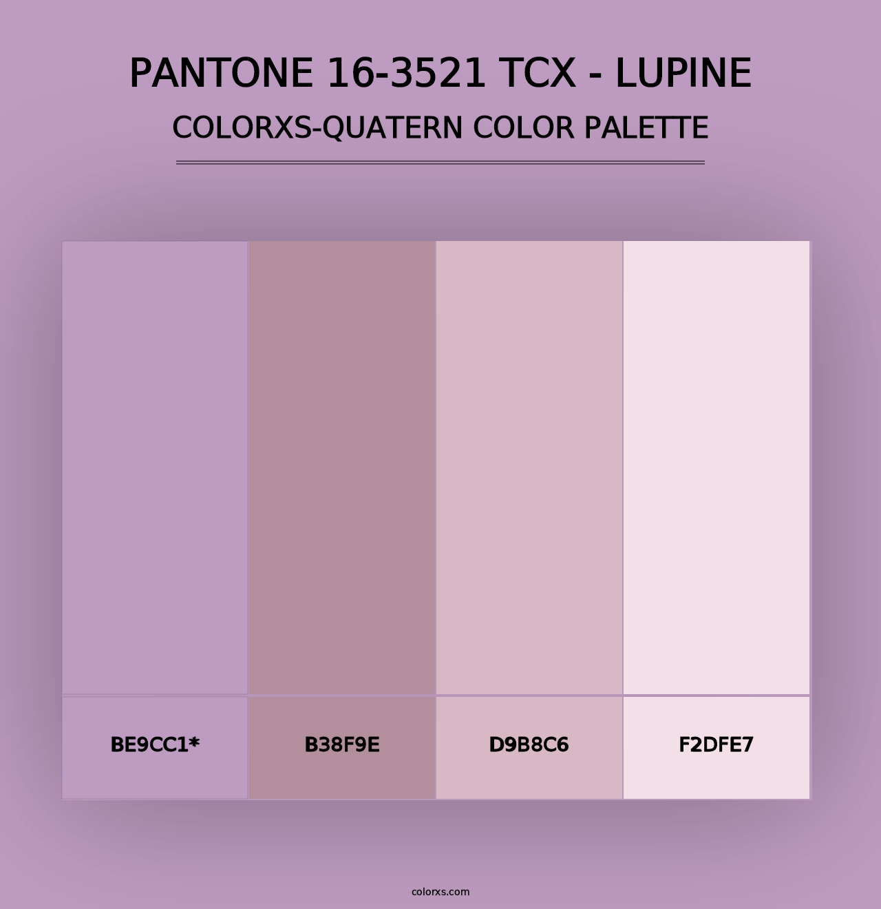 PANTONE 16-3521 TCX - Lupine - Colorxs Quad Palette