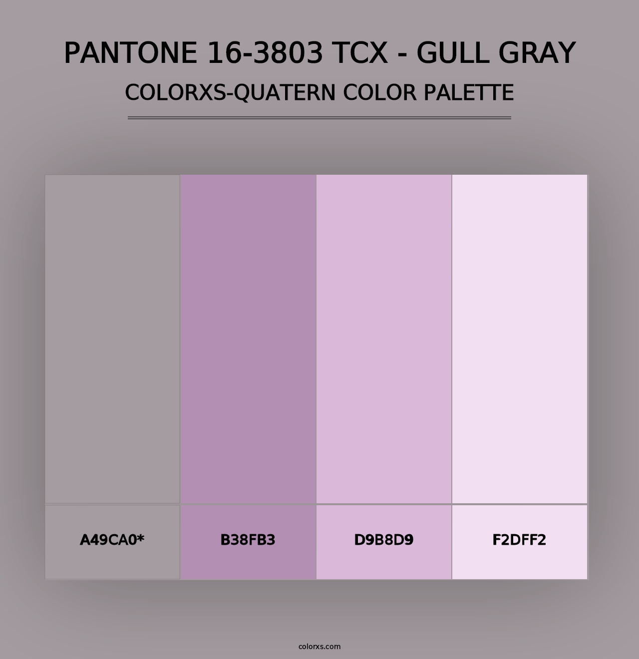 PANTONE 16-3803 TCX - Gull Gray - Colorxs Quad Palette