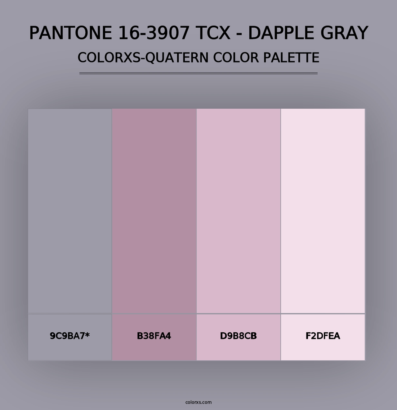 PANTONE 16-3907 TCX - Dapple Gray - Colorxs Quad Palette