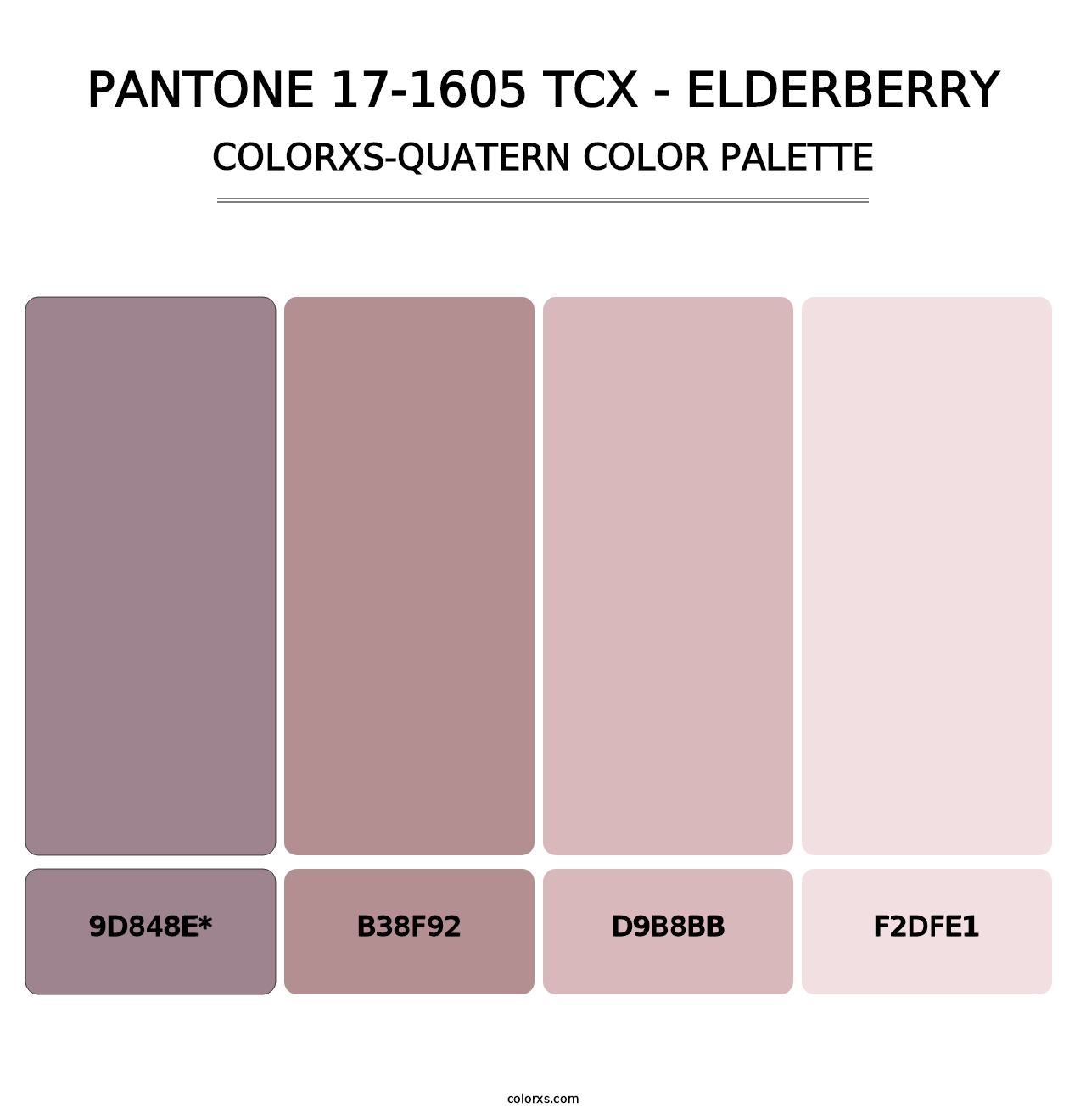 PANTONE 17-1605 TCX - Elderberry - Colorxs Quad Palette