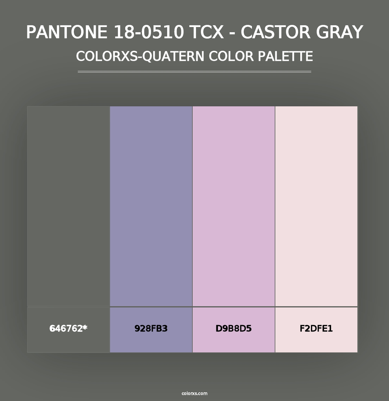 PANTONE 18-0510 TCX - Castor Gray - Colorxs Quad Palette