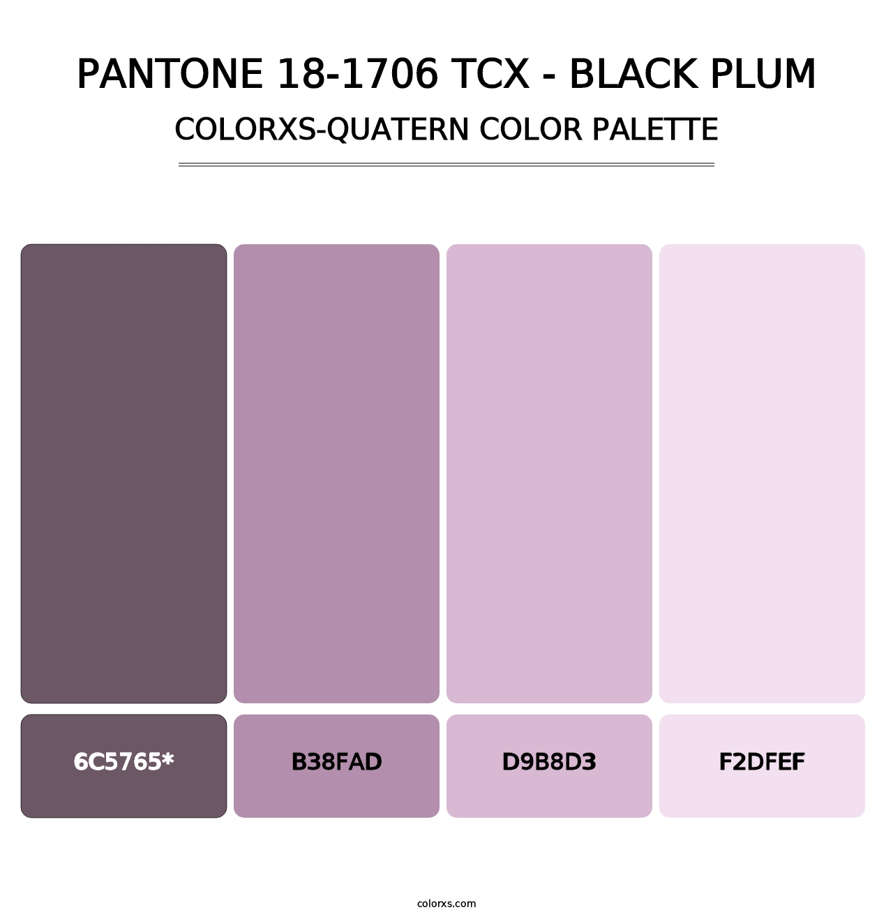 PANTONE 18-1706 TCX - Black Plum - Colorxs Quad Palette