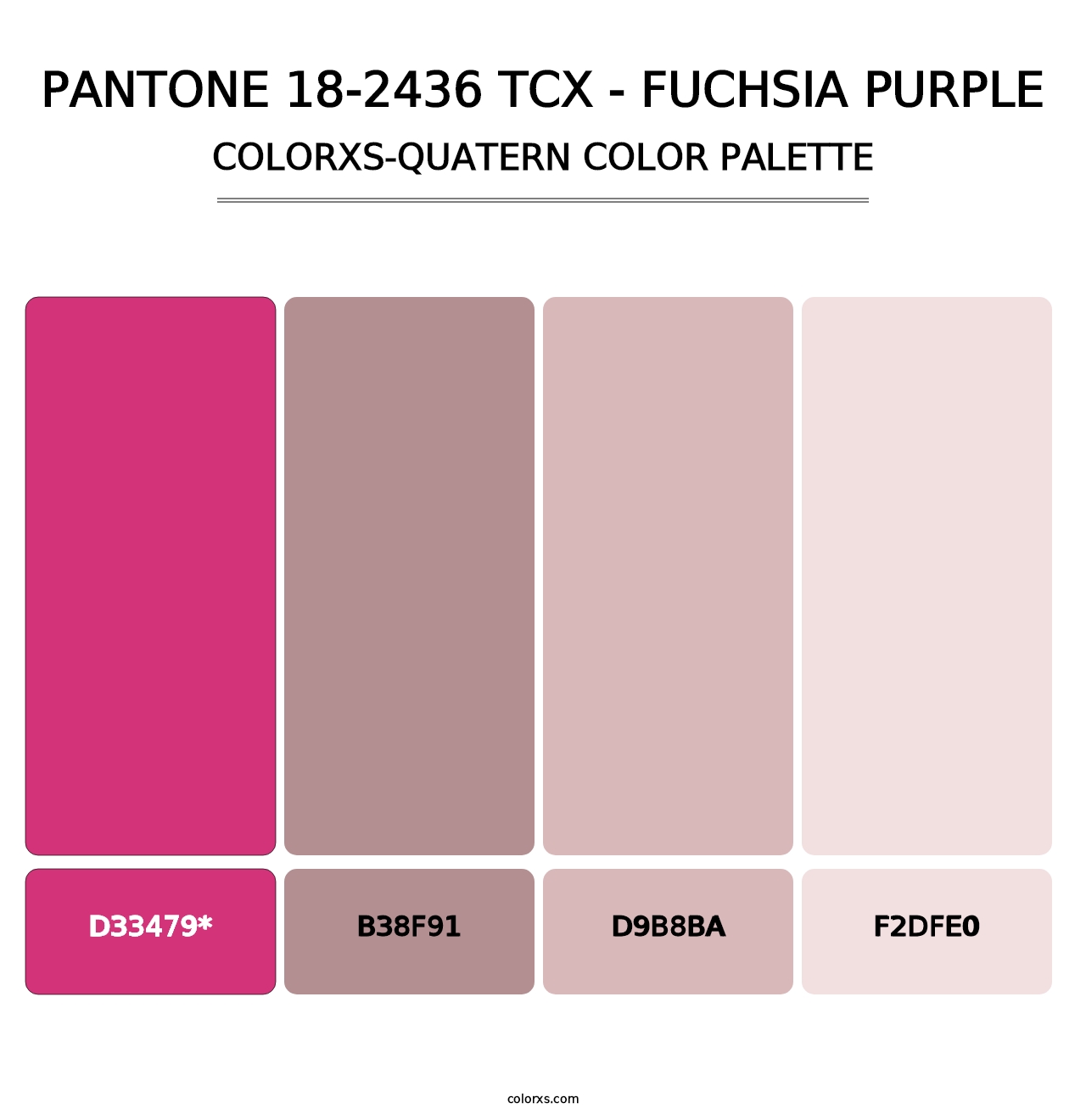 PANTONE 18-2436 TCX - Fuchsia Purple - Colorxs Quad Palette