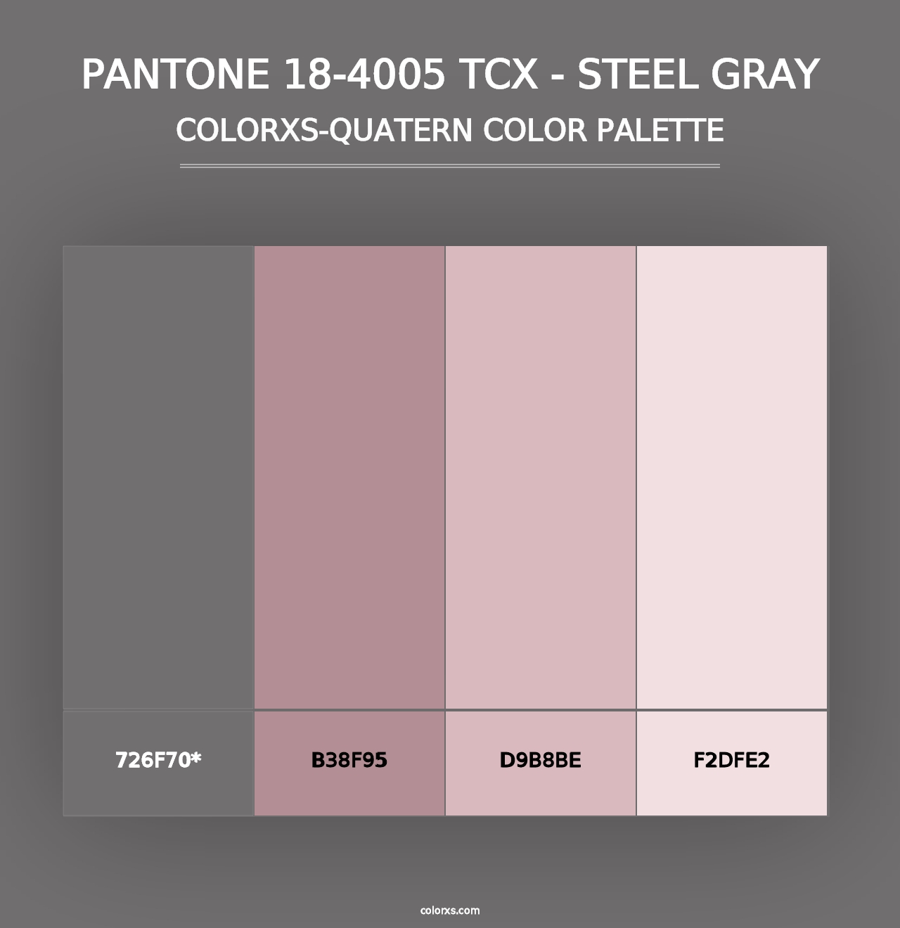 PANTONE 18-4005 TCX - Steel Gray - Colorxs Quad Palette