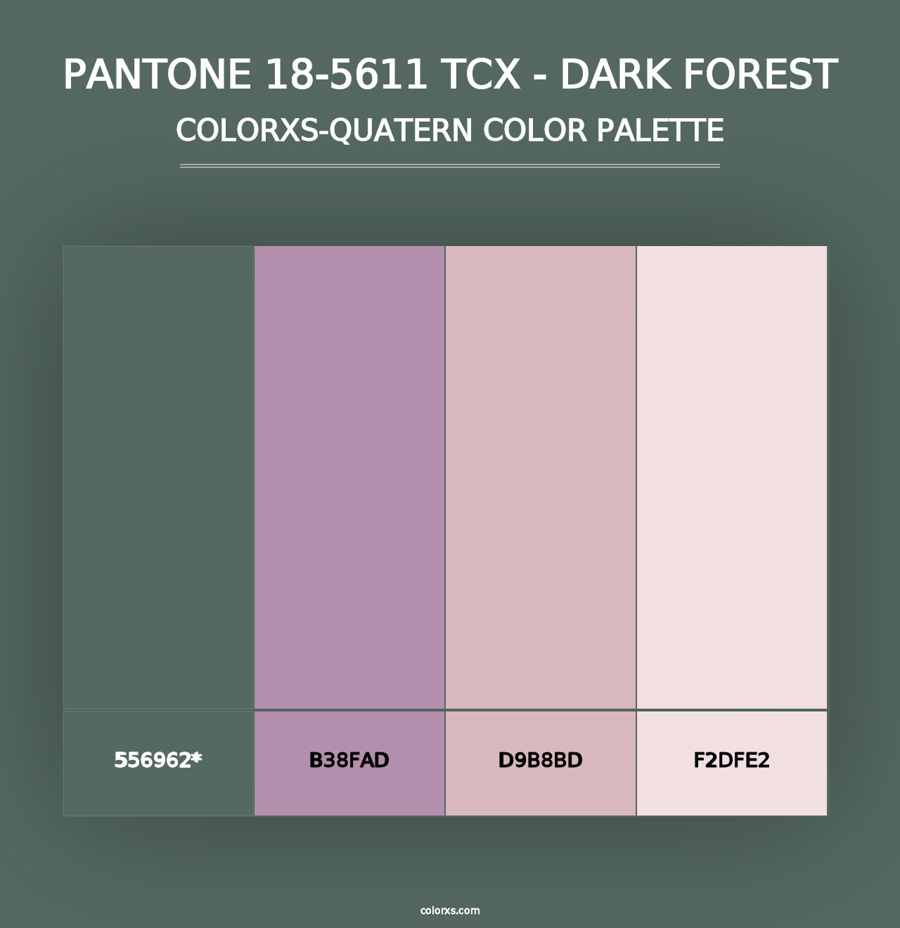 PANTONE 18-5611 TCX - Dark Forest - Colorxs Quad Palette