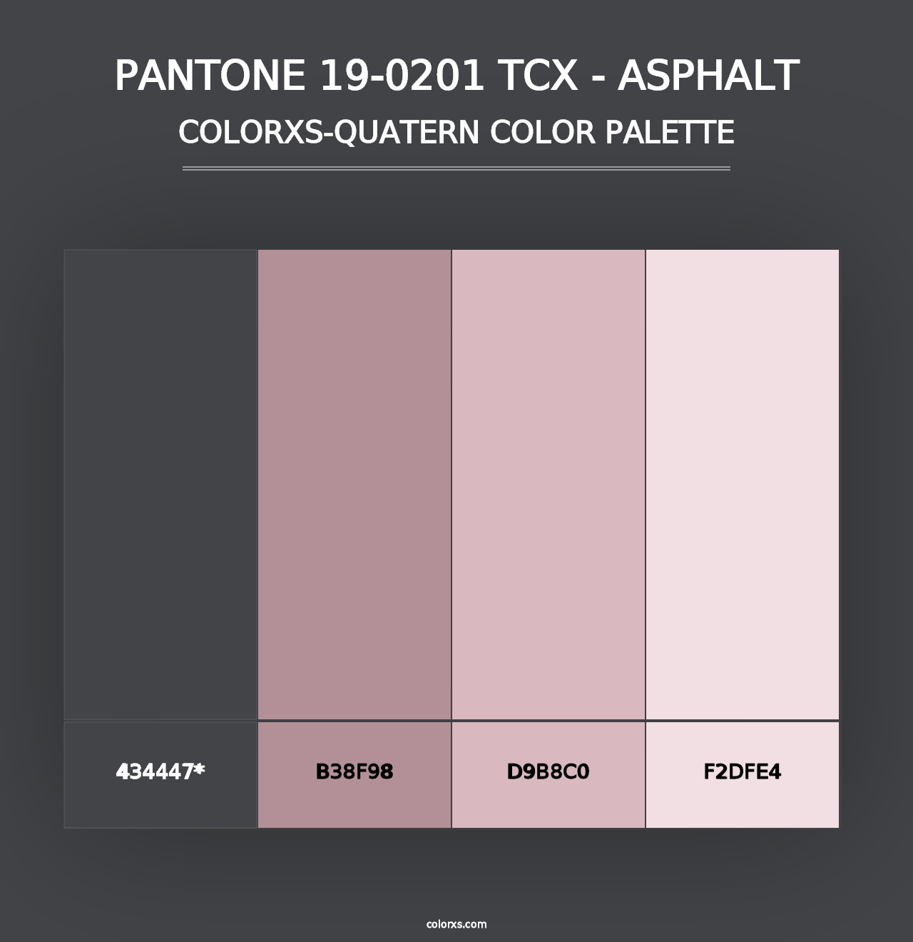 PANTONE 19-0201 TCX - Asphalt - Colorxs Quad Palette