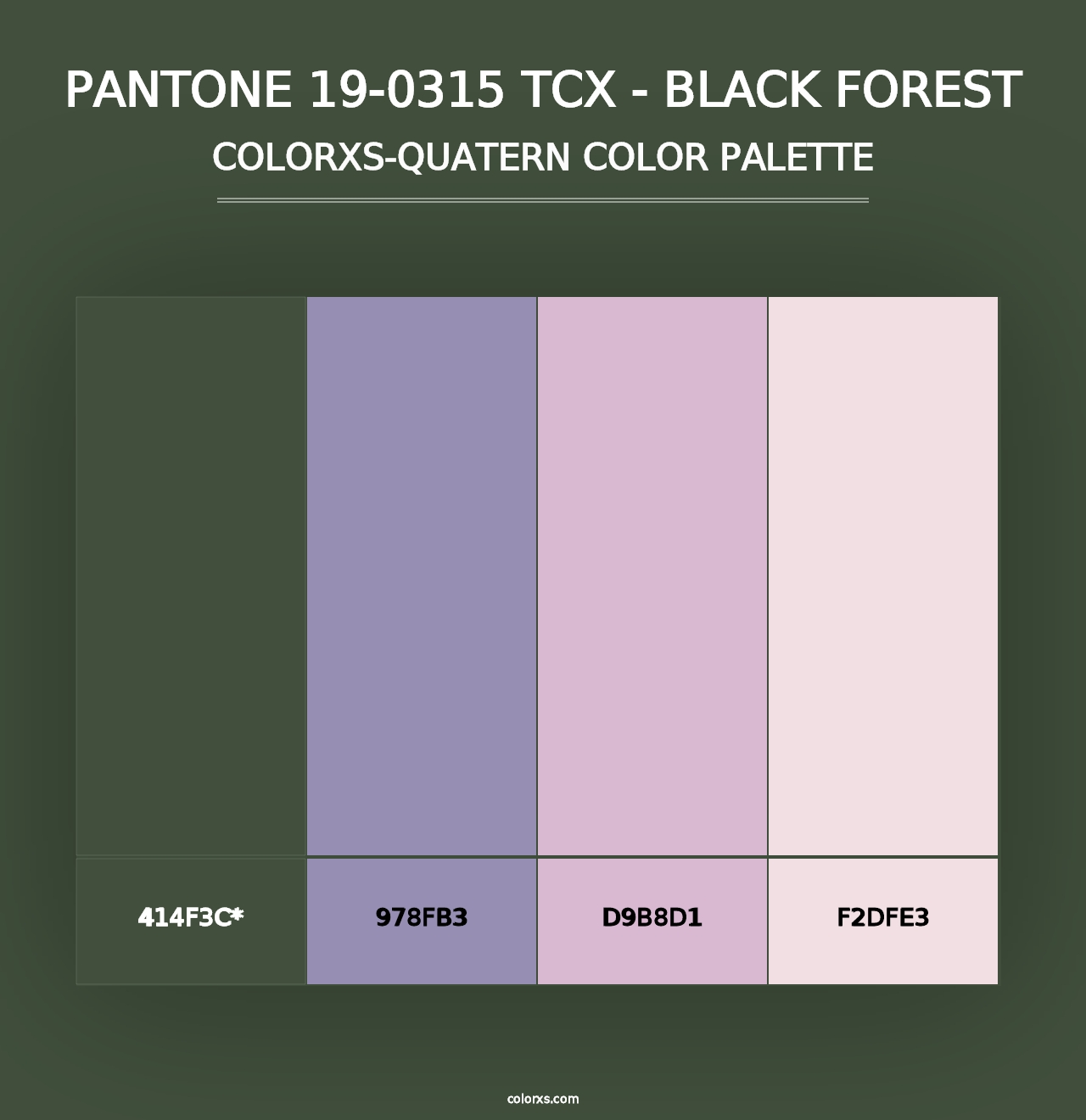 PANTONE 19-0315 TCX - Black Forest - Colorxs Quad Palette