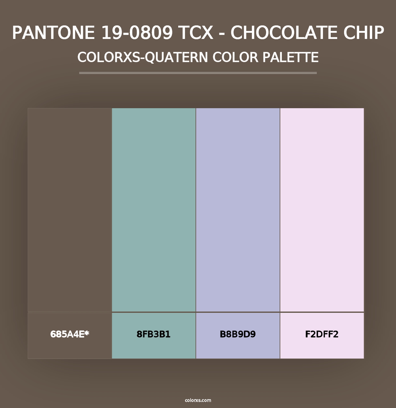 PANTONE 19-0809 TCX - Chocolate Chip - Colorxs Quad Palette