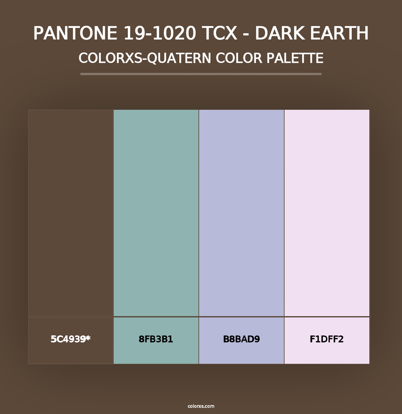 PANTONE 19-1020 TCX - Dark Earth - Colorxs Quad Palette