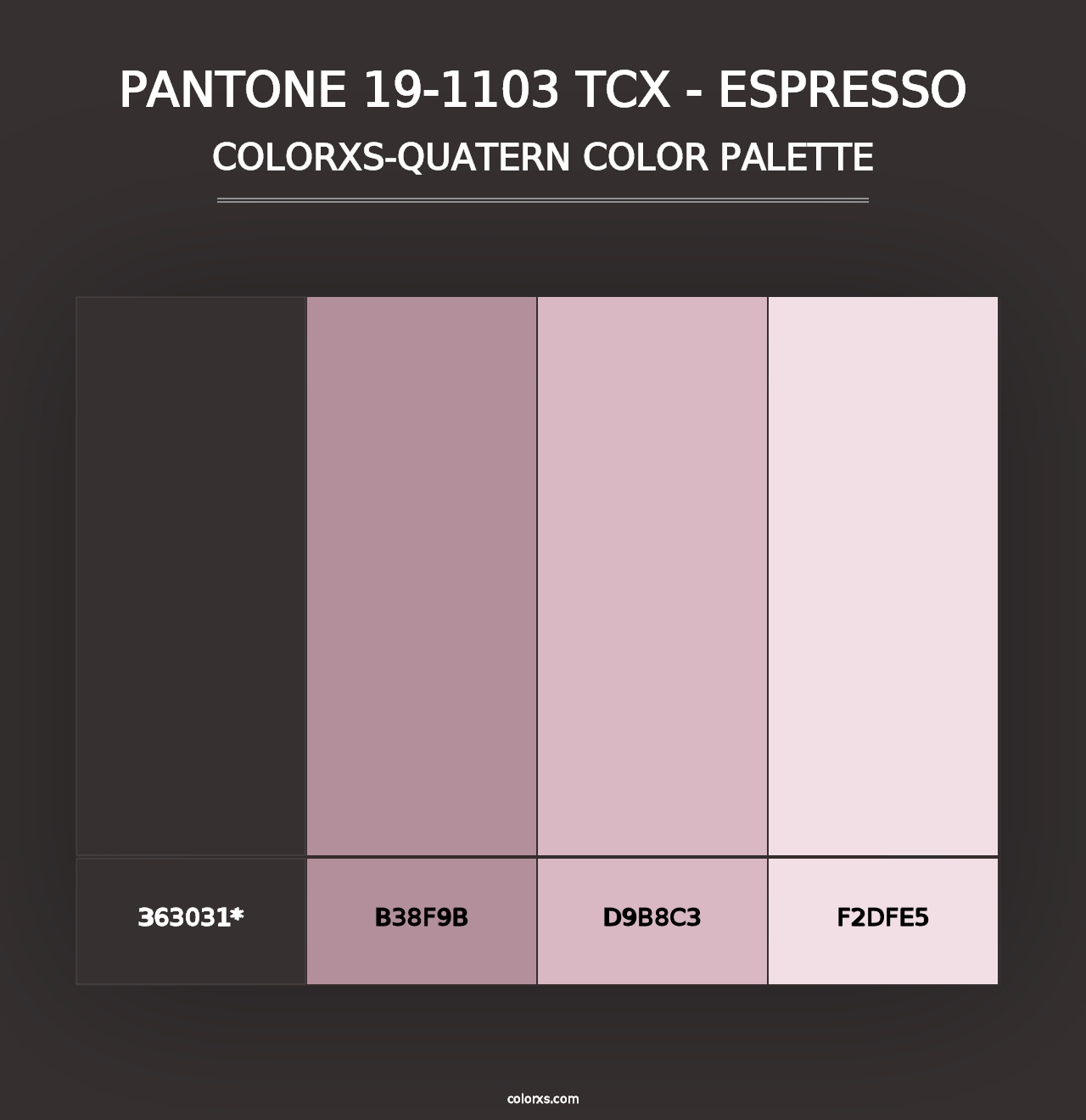 PANTONE 19-1103 TCX - Espresso - Colorxs Quad Palette