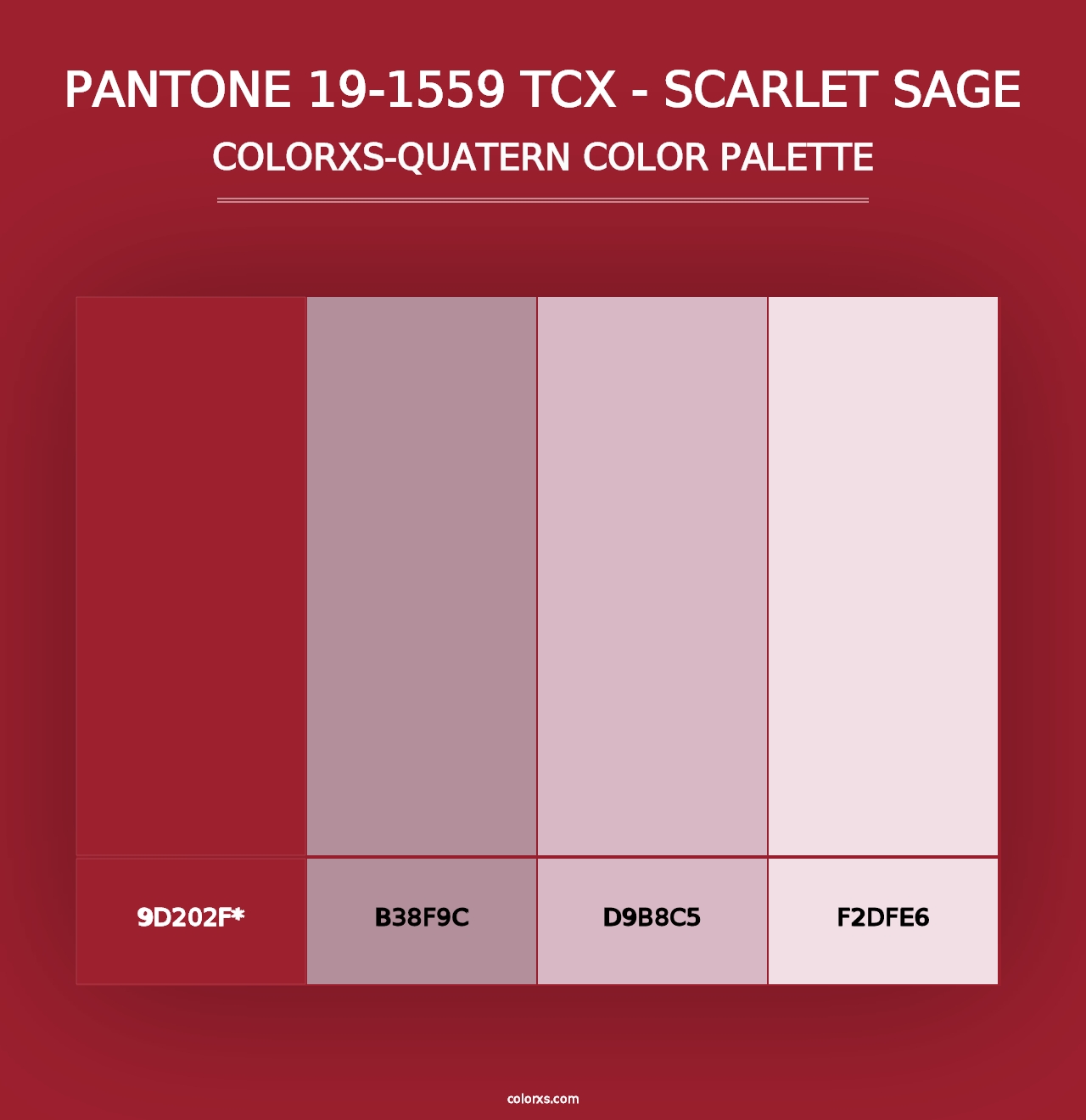 PANTONE 19-1559 TCX - Scarlet Sage - Colorxs Quad Palette