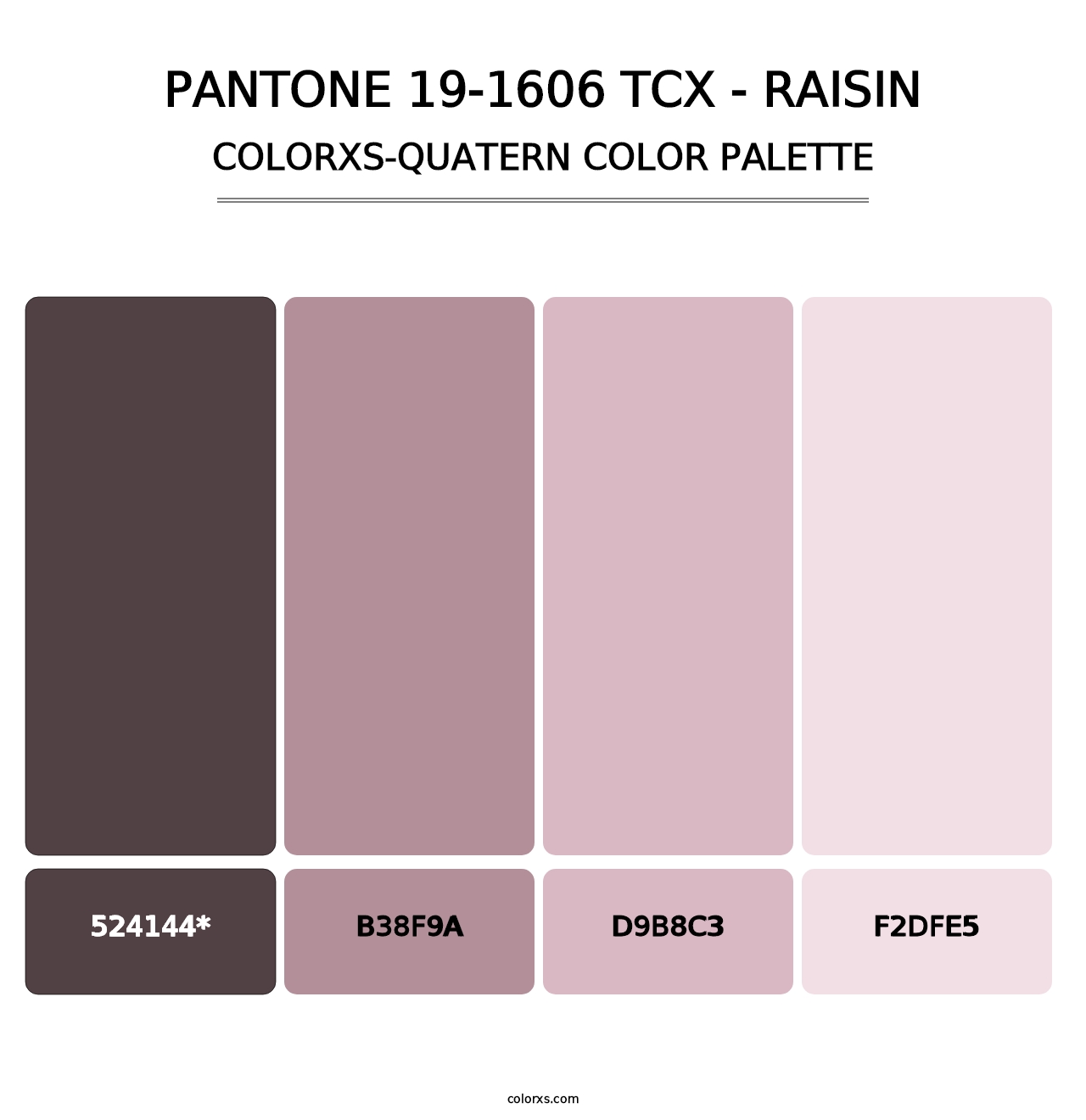 PANTONE 19-1606 TCX - Raisin - Colorxs Quad Palette