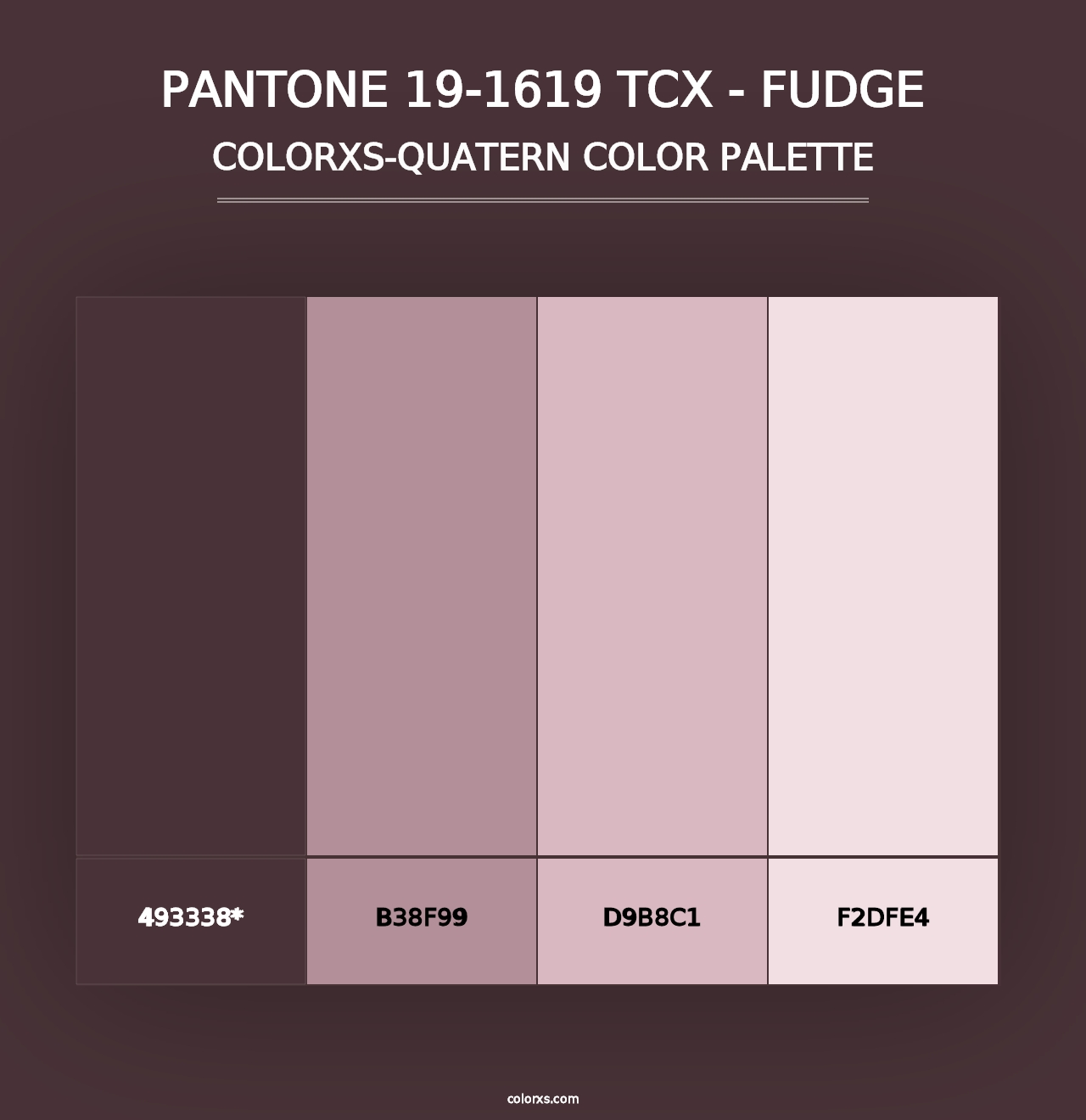 PANTONE 19-1619 TCX - Fudge - Colorxs Quad Palette