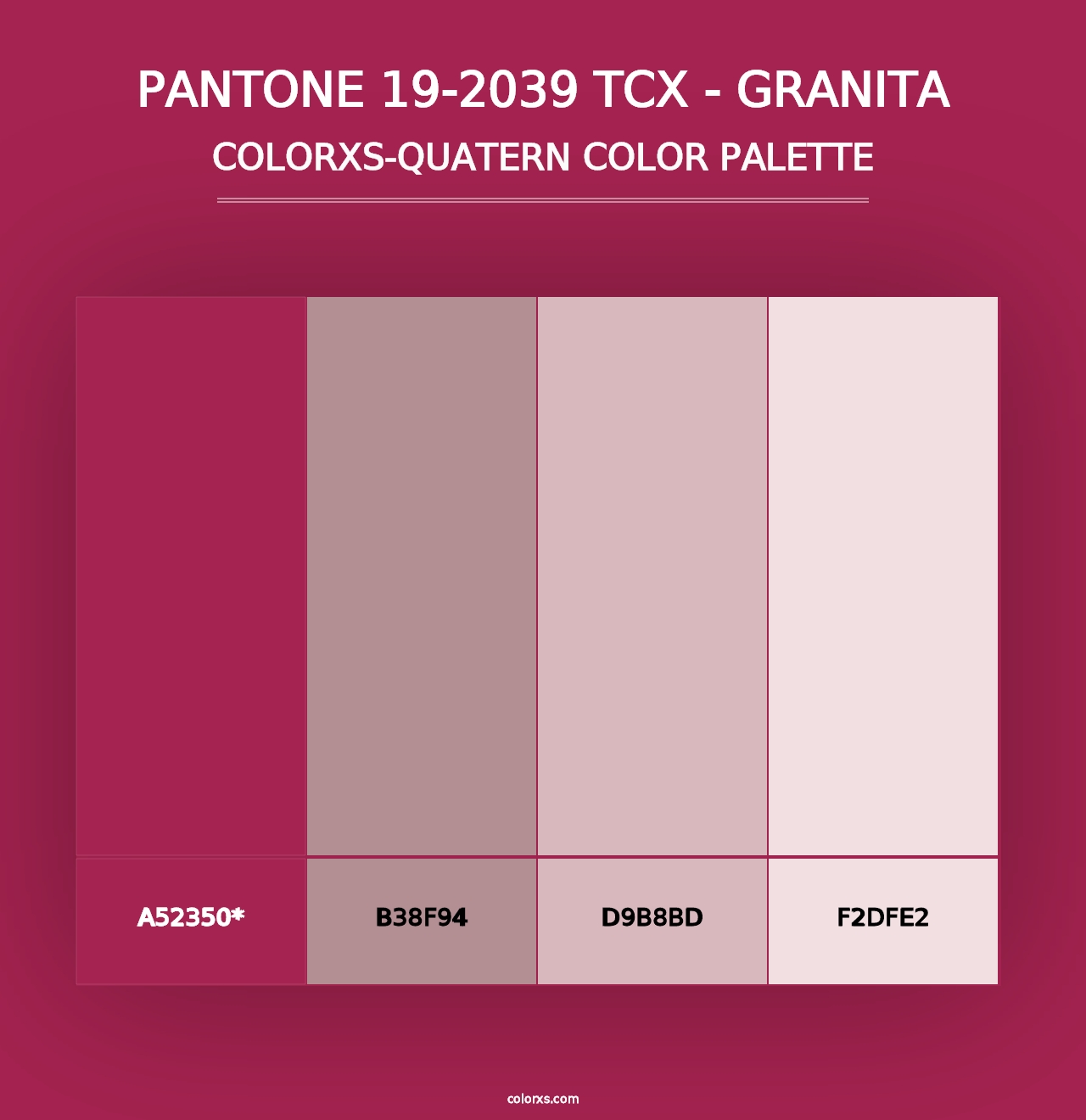 PANTONE 19-2039 TCX - Granita - Colorxs Quad Palette