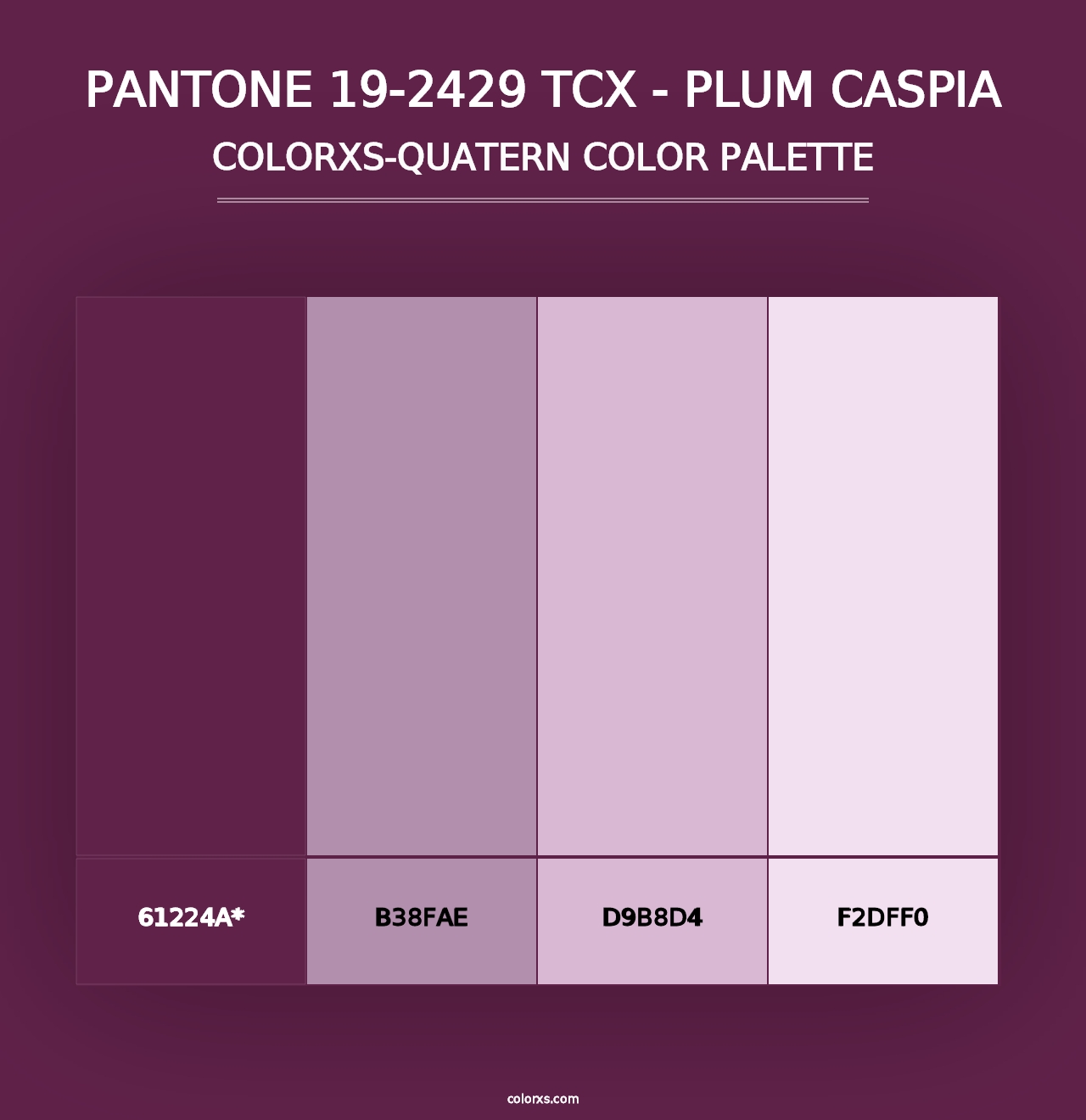 PANTONE 19-2429 TCX - Plum Caspia - Colorxs Quad Palette