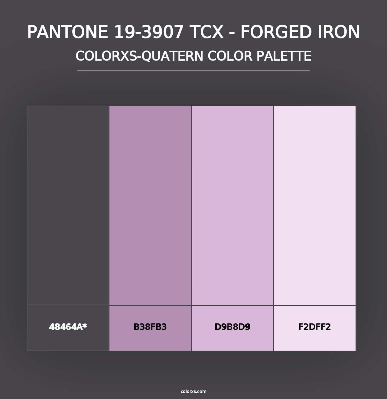 PANTONE 19-3907 TCX - Forged Iron - Colorxs Quad Palette