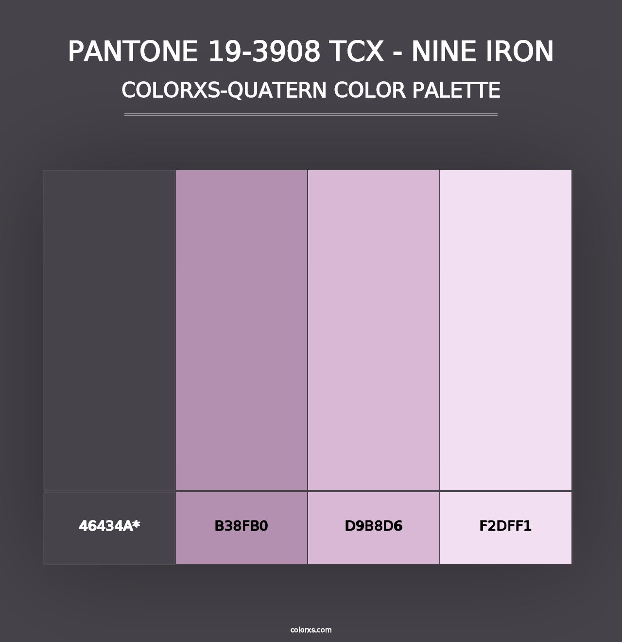 PANTONE 19-3908 TCX - Nine Iron - Colorxs Quad Palette