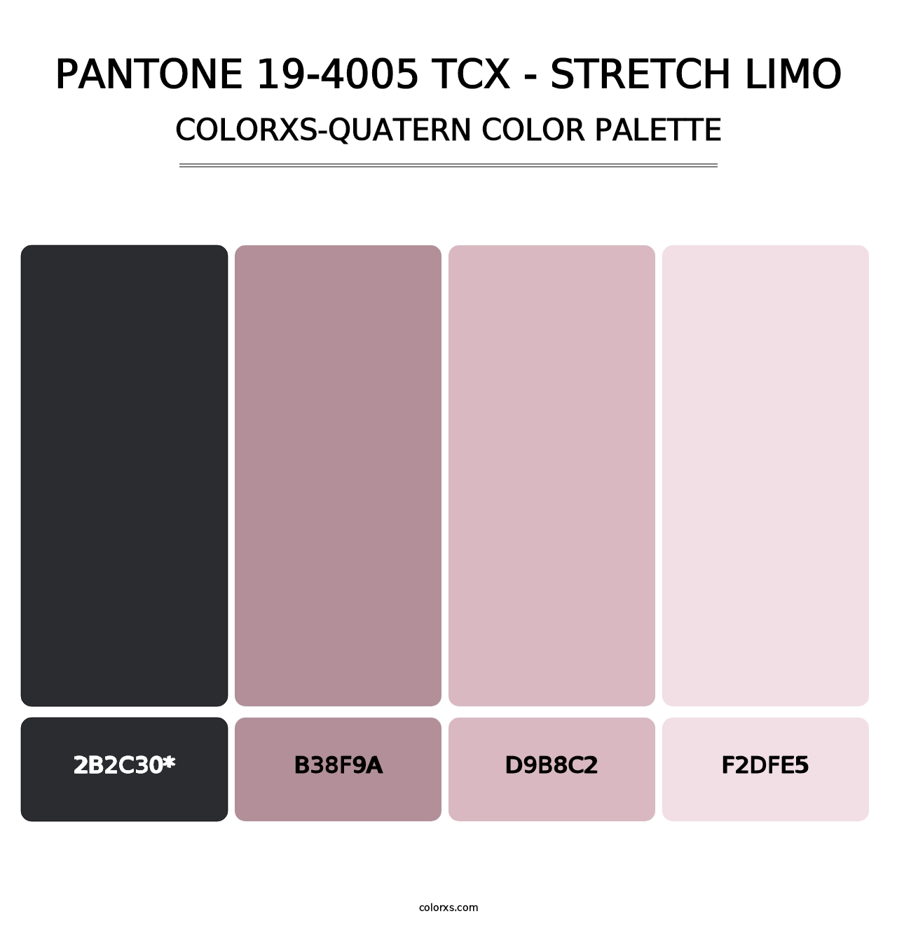 PANTONE 19-4005 TCX - Stretch Limo - Colorxs Quad Palette