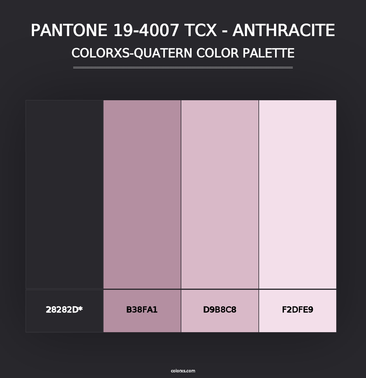 PANTONE 19-4007 TCX - Anthracite - Colorxs Quad Palette