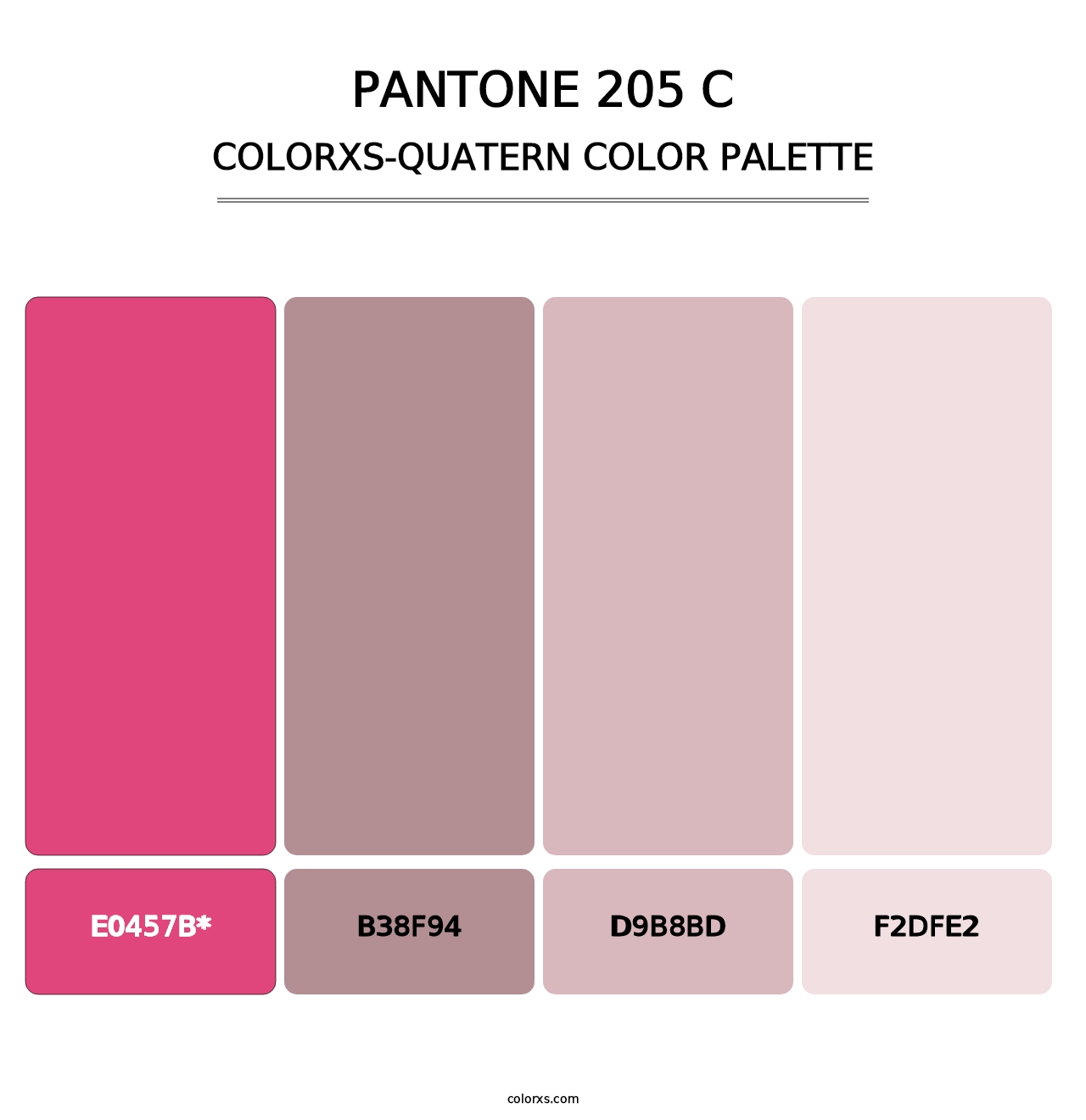 PANTONE 205 C - Colorxs Quad Palette