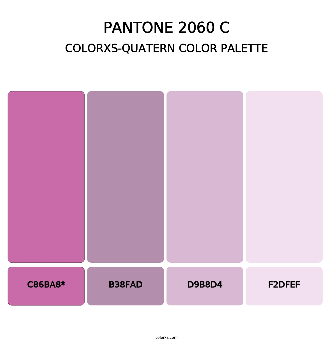PANTONE 2060 C - Colorxs Quad Palette