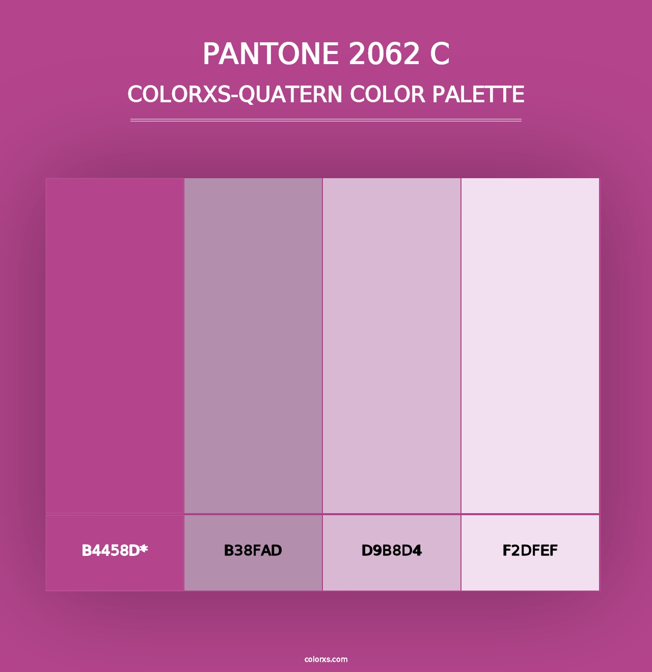 PANTONE 2062 C - Colorxs Quad Palette