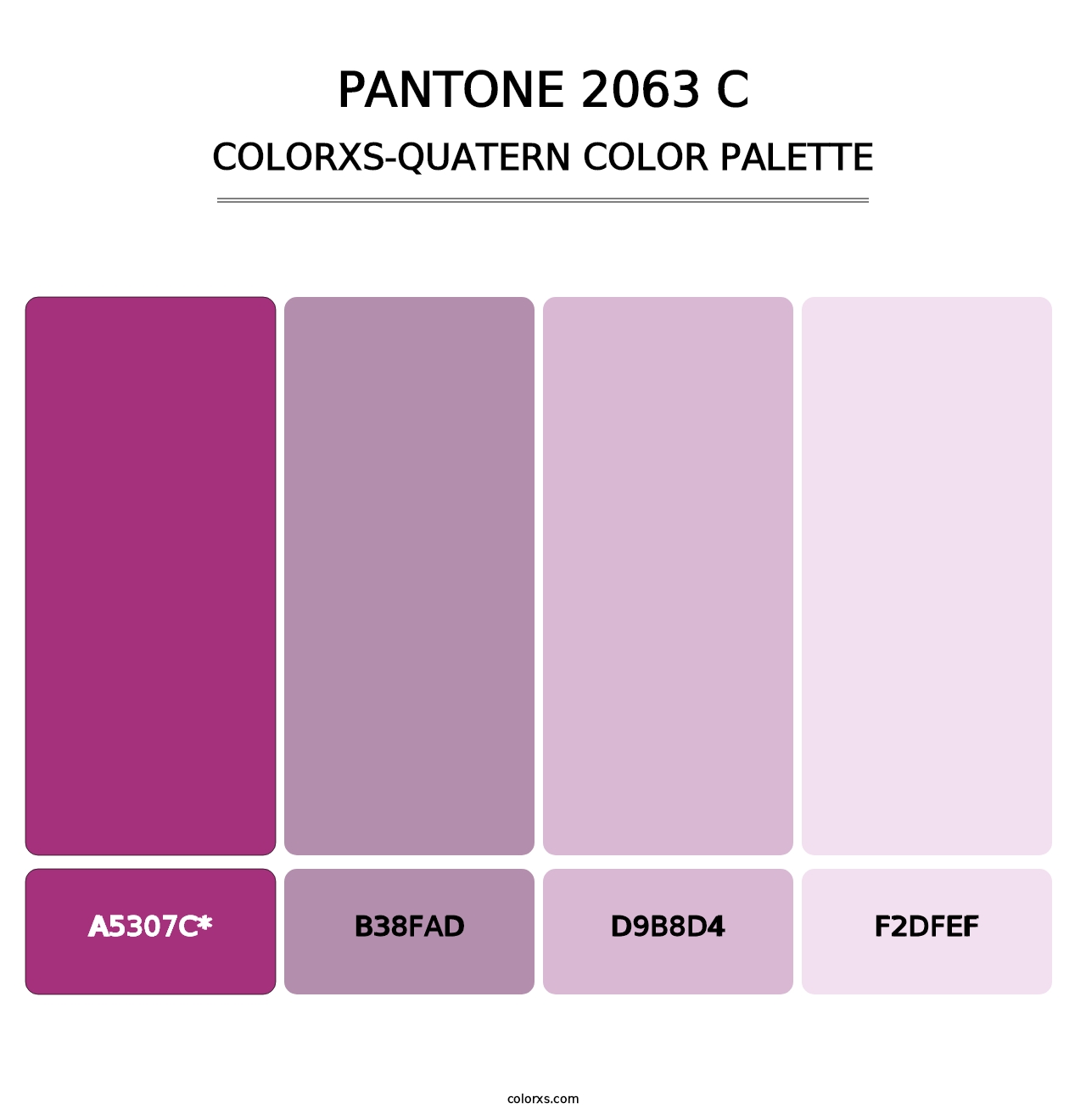 PANTONE 2063 C - Colorxs Quad Palette