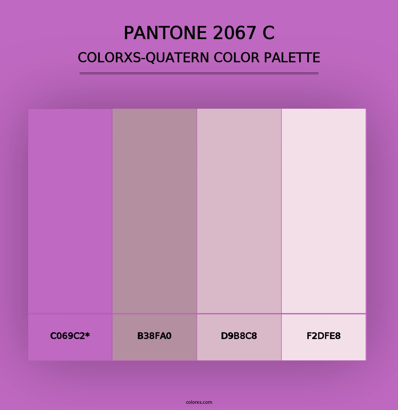 PANTONE 2067 C - Colorxs Quad Palette