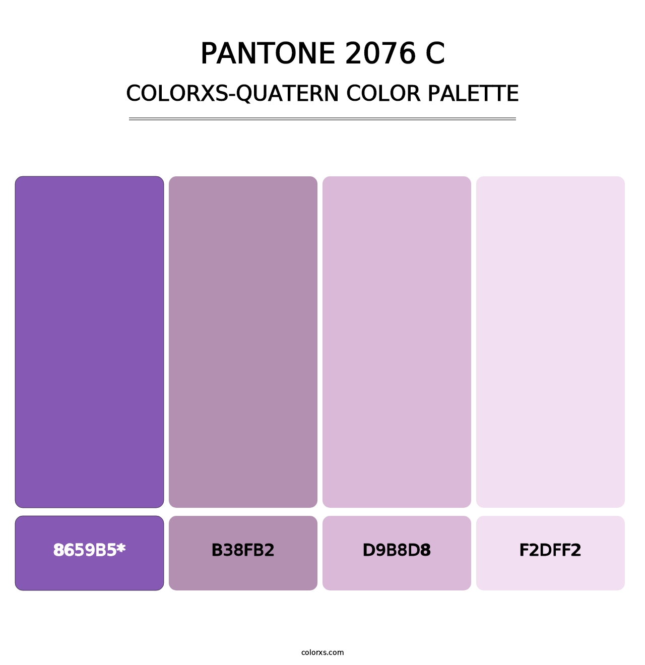 PANTONE 2076 C - Colorxs Quad Palette