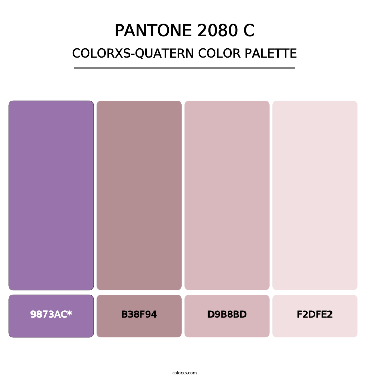 PANTONE 2080 C - Colorxs Quad Palette