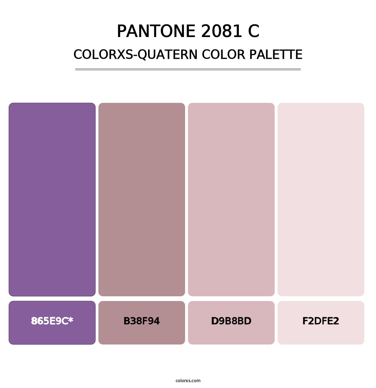 PANTONE 2081 C - Colorxs Quad Palette