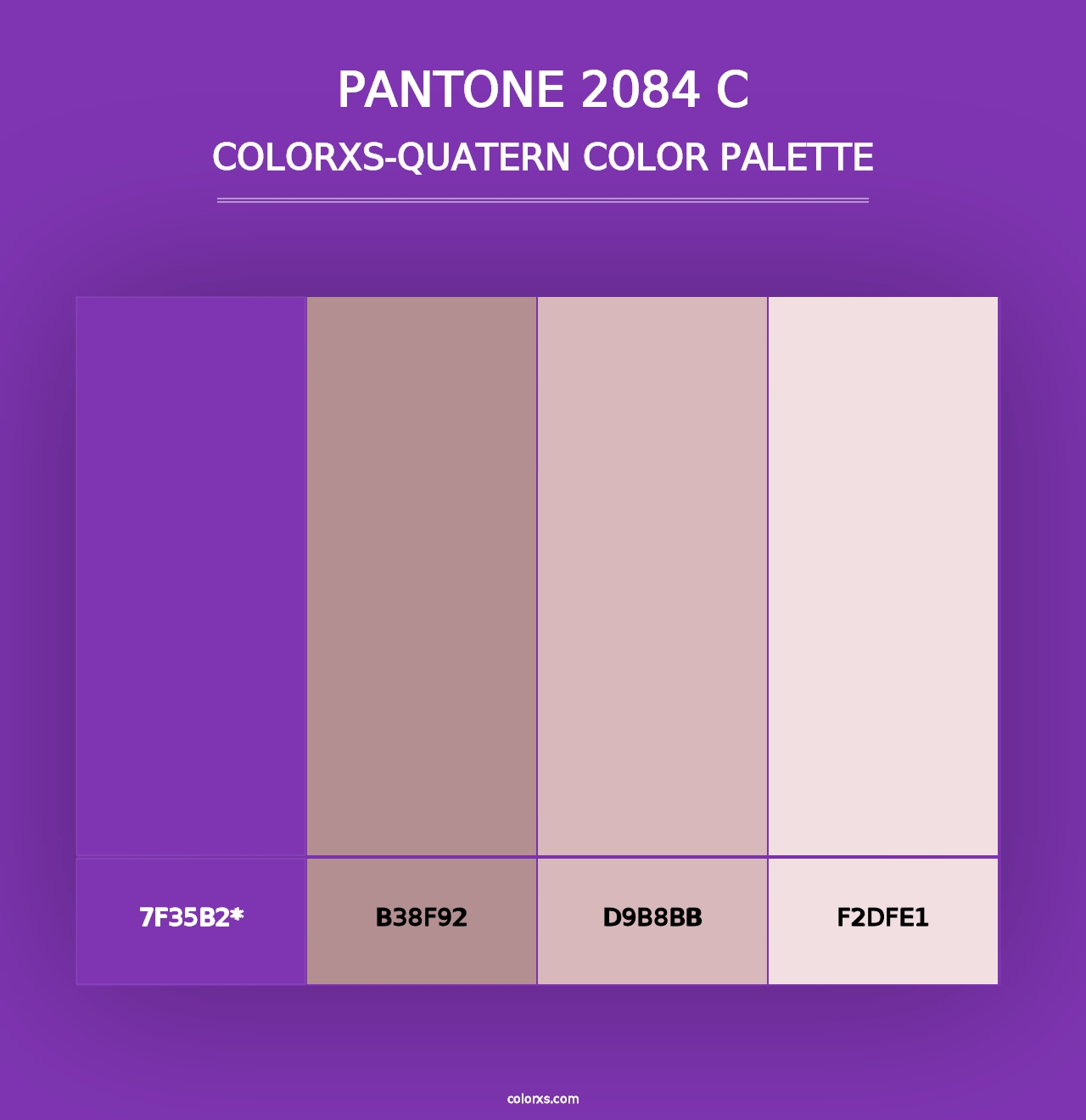 PANTONE 2084 C - Colorxs Quad Palette