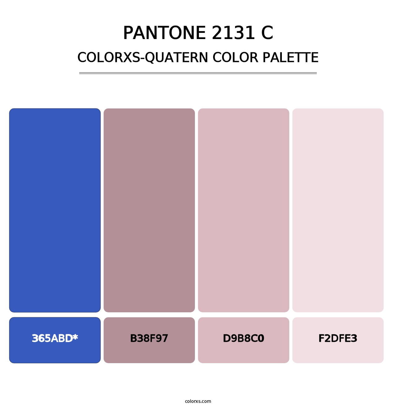 PANTONE 2131 C - Colorxs Quad Palette