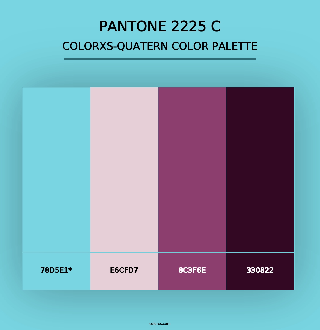 PANTONE 2225 C - Colorxs Quad Palette