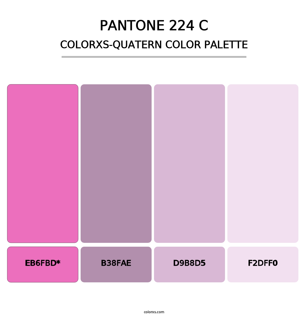 PANTONE 224 C - Colorxs Quad Palette