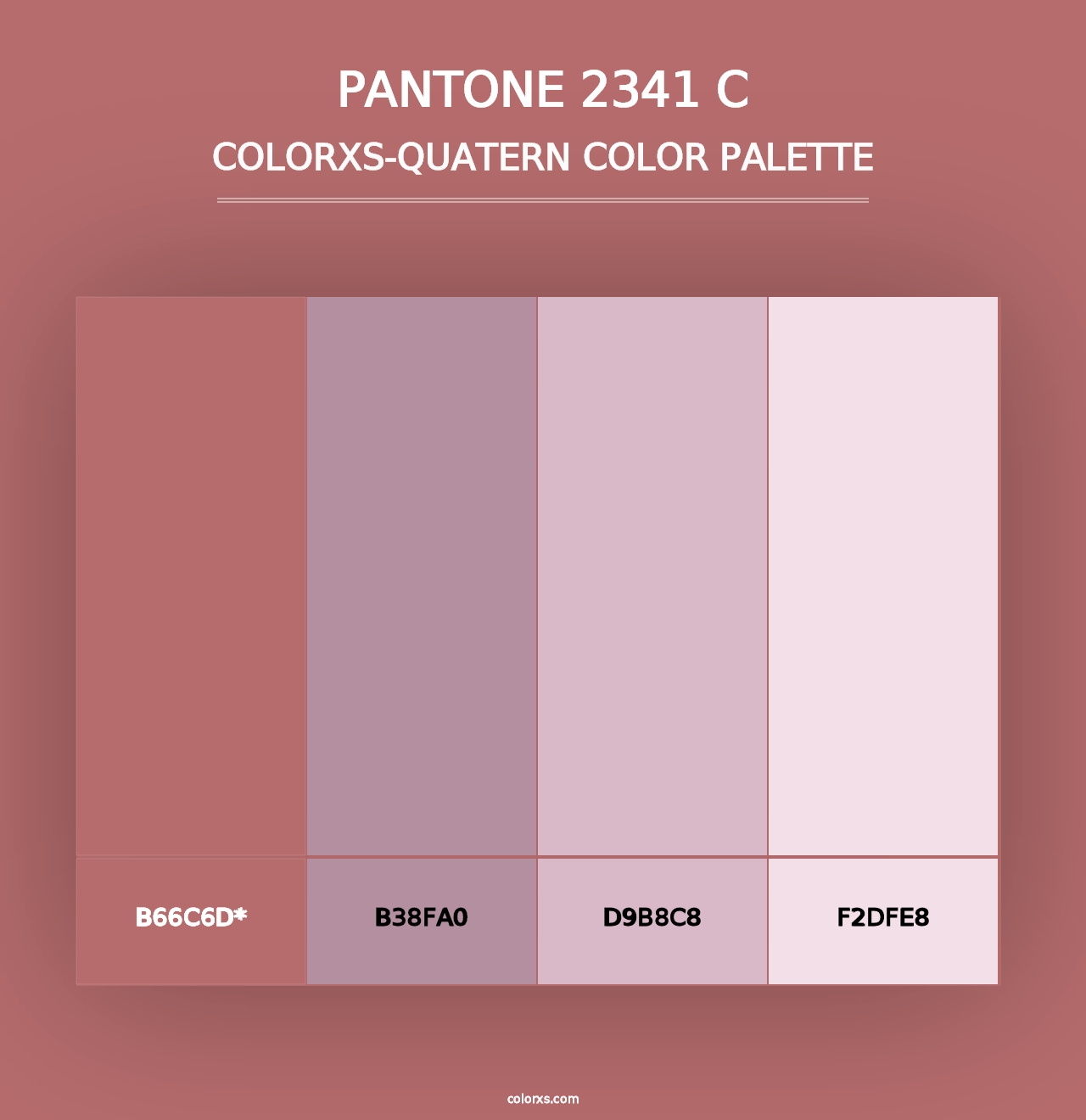 PANTONE 2341 C - Colorxs Quad Palette