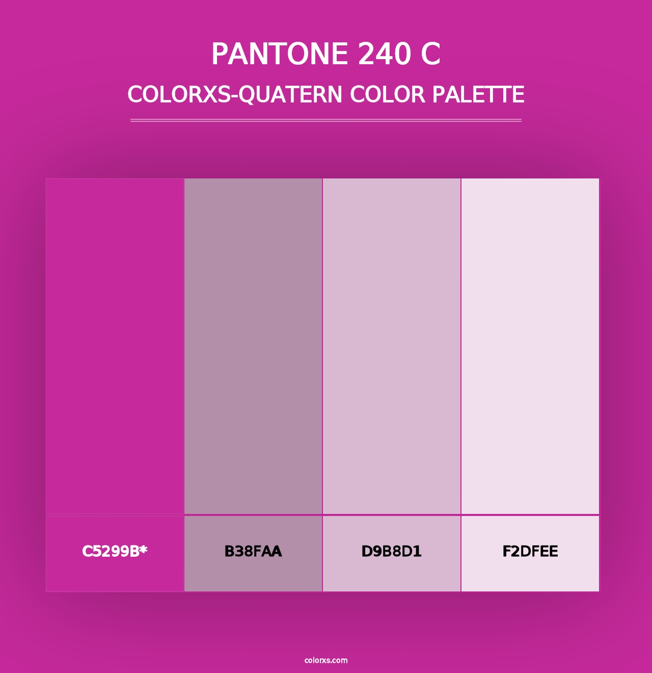 PANTONE 240 C - Colorxs Quad Palette